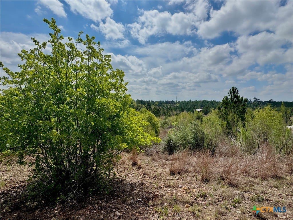 4.97 acres in Bastrop County