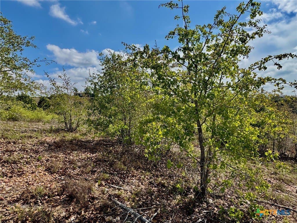 4.97 acres in Bastrop County - photo 9