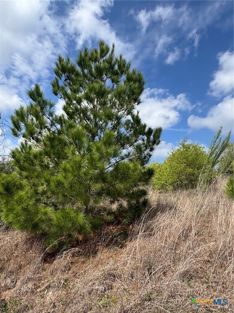 4.97 acres in Bastrop County - photo 8
