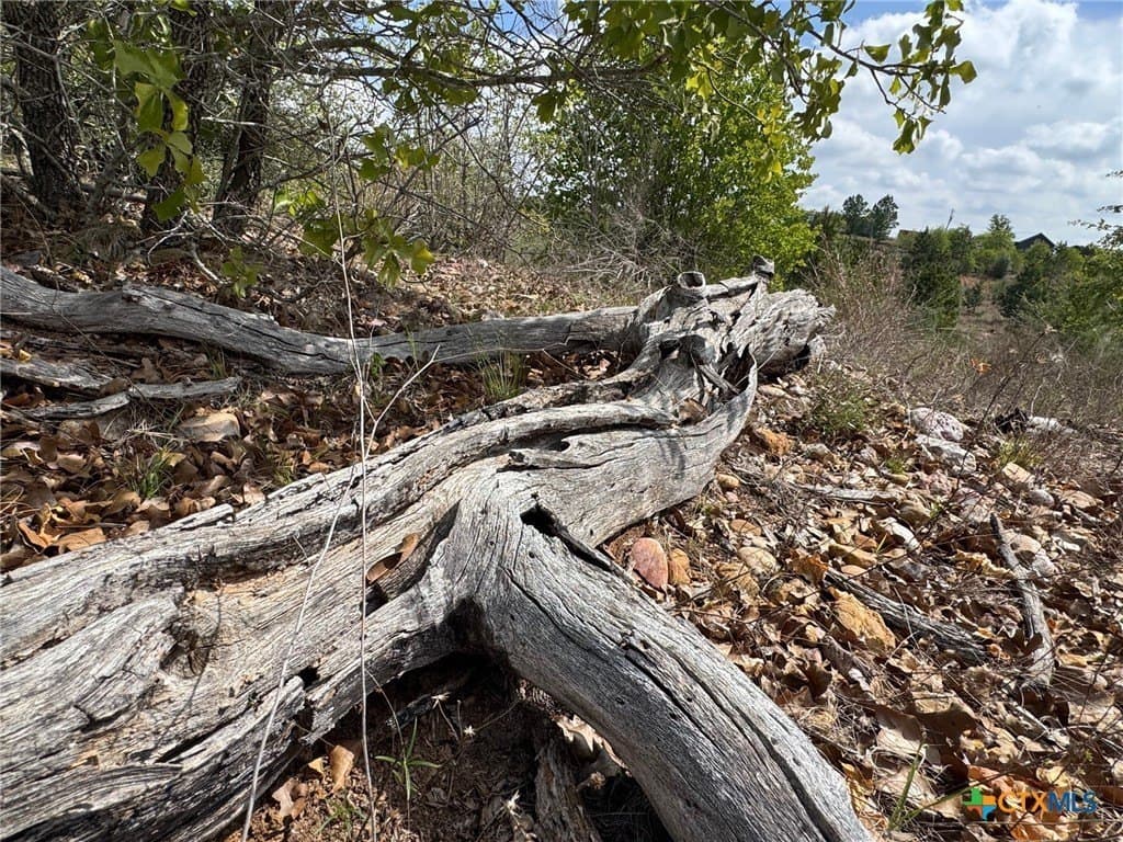 4.97 acres in Bastrop County gallery image 4