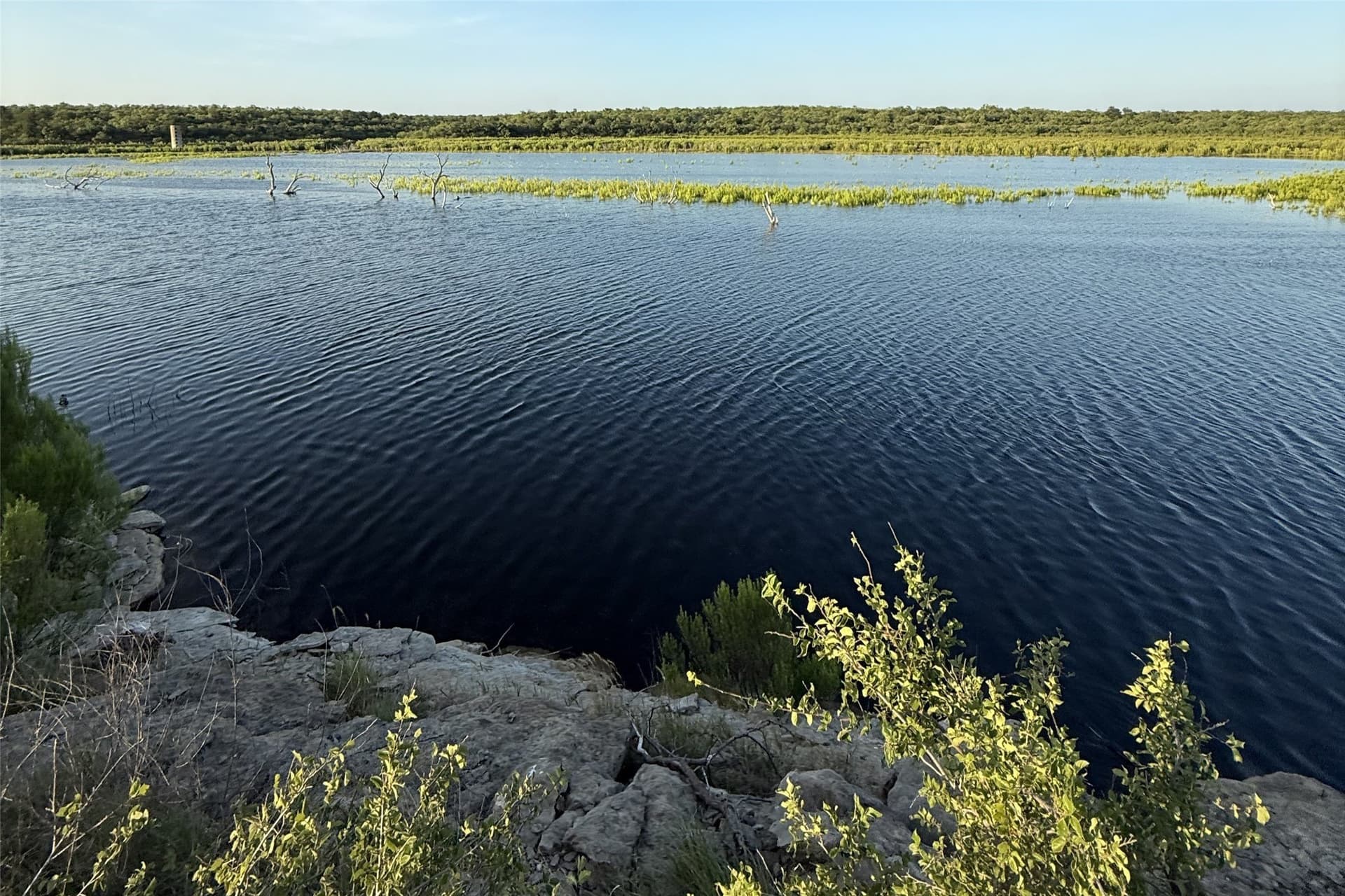 353 acres in Coleman County - photo 5