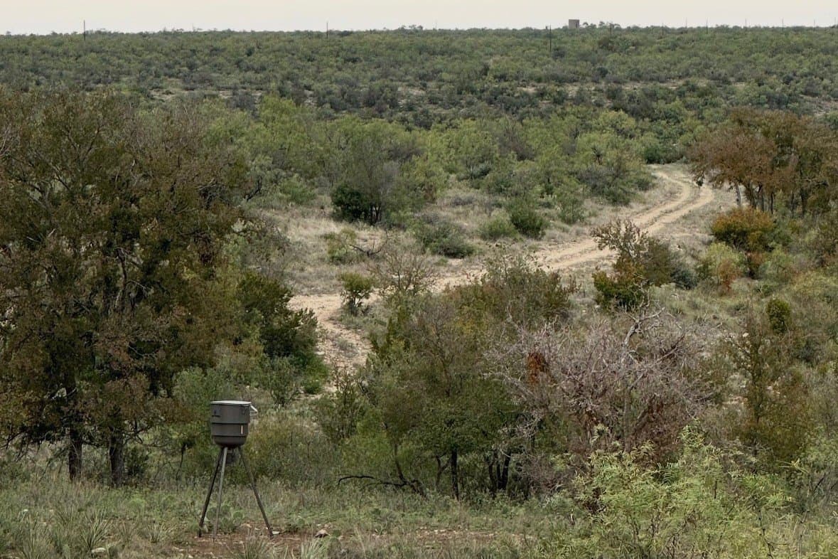 353 acres in Coleman County - photo 9