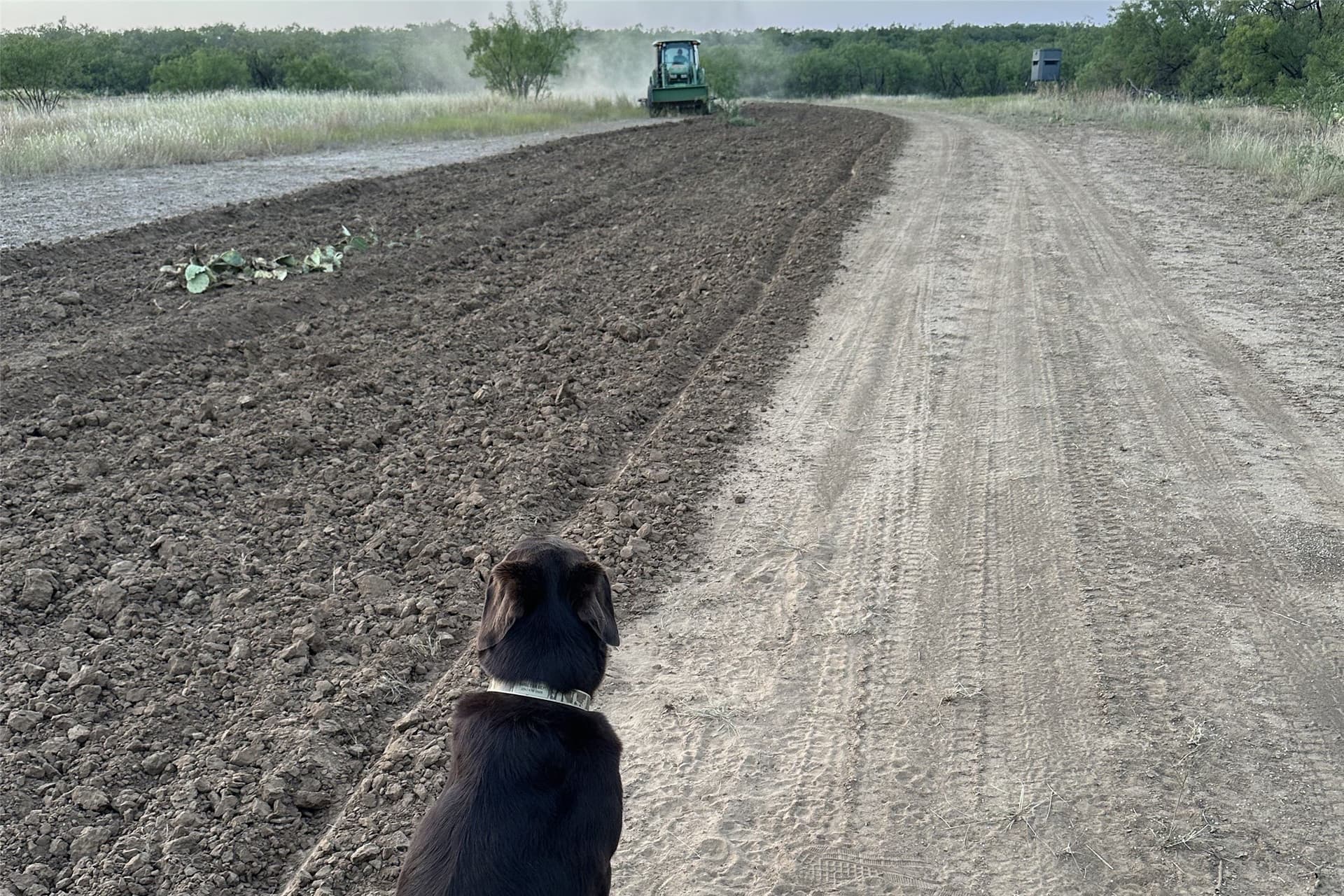 353 acres in Coleman County - photo 8
