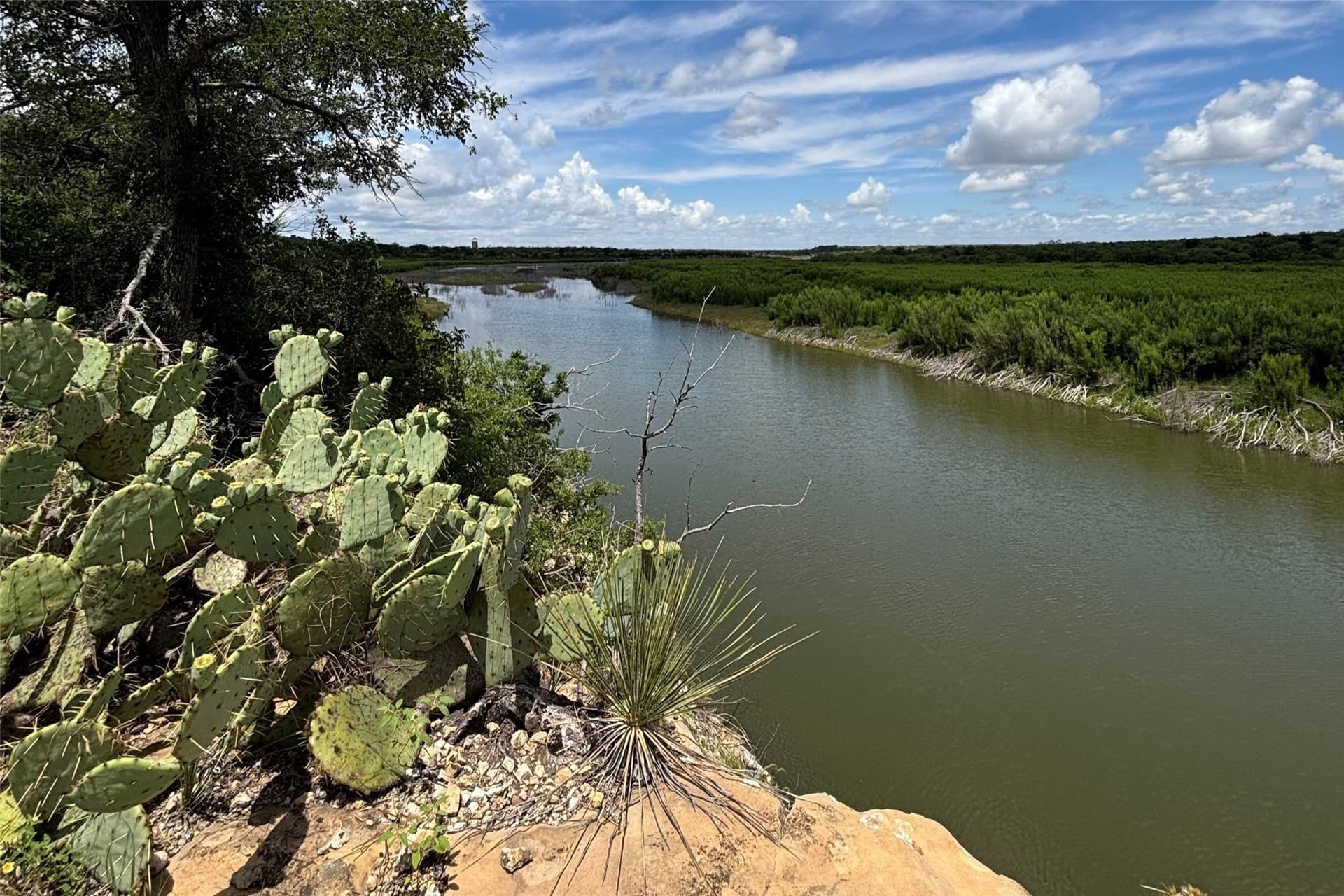 353 acres in Coleman County