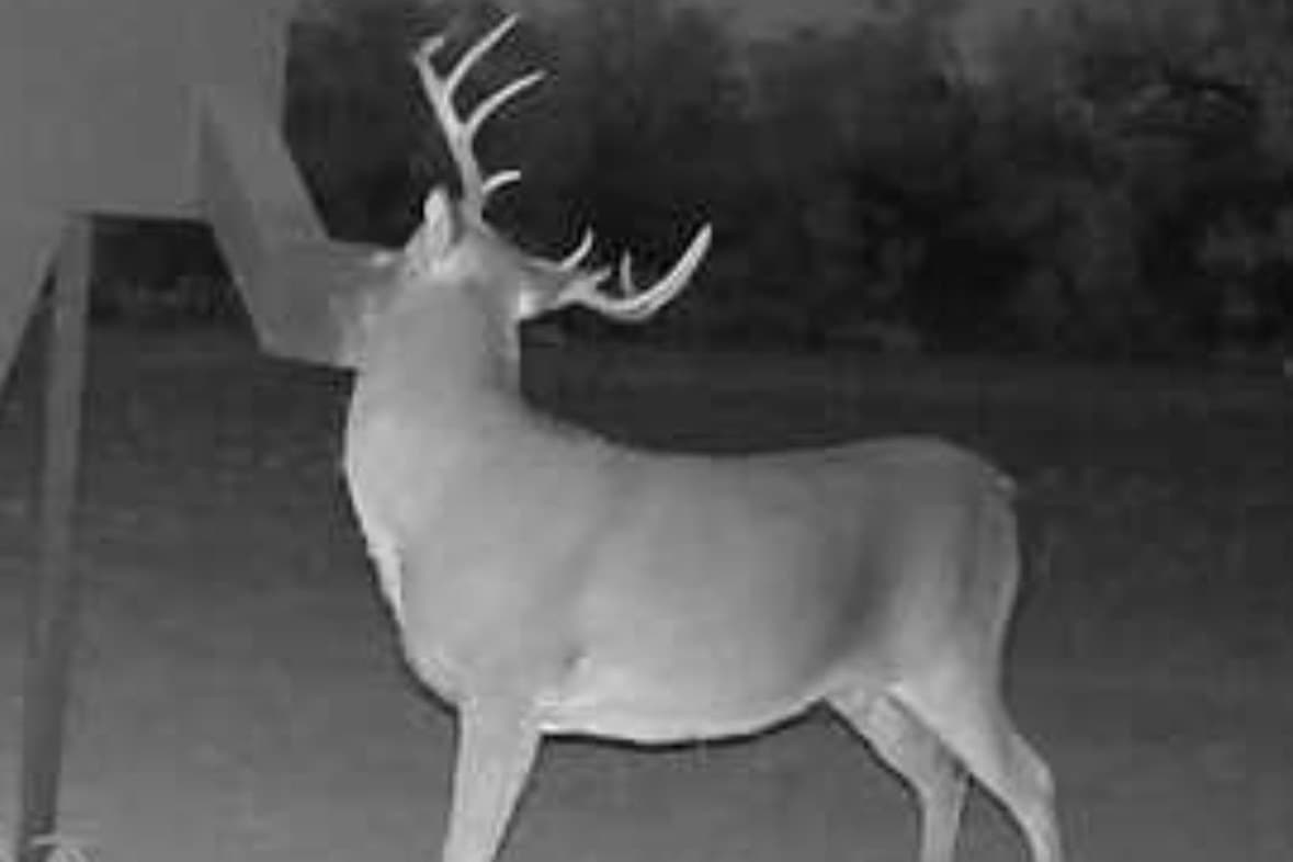 353 acres in Coleman County - photo 35