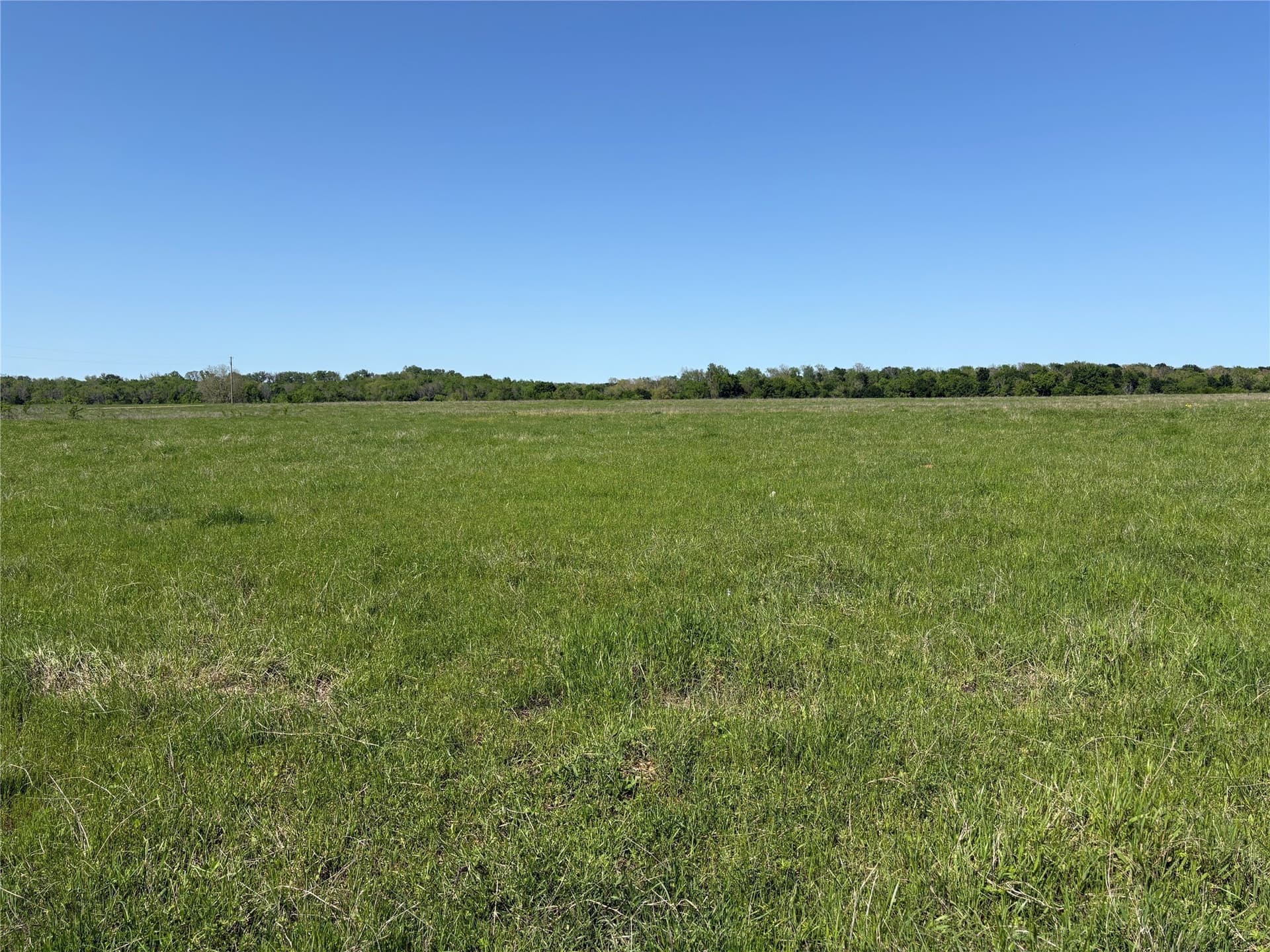10.01 acres in Anderson County - photo 17