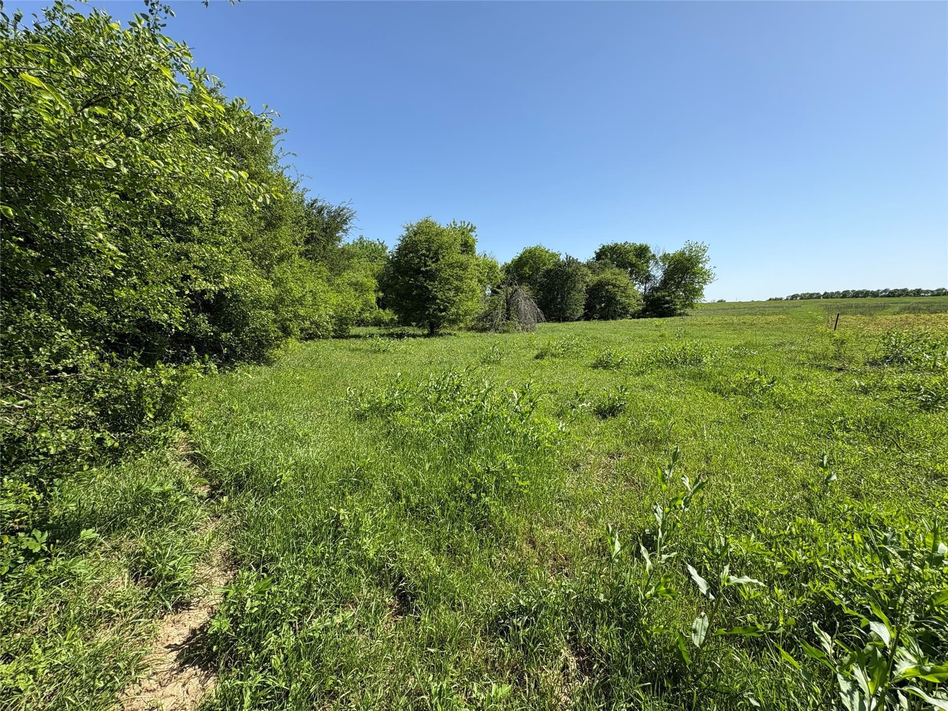 10.01 acres in Anderson County - photo 24