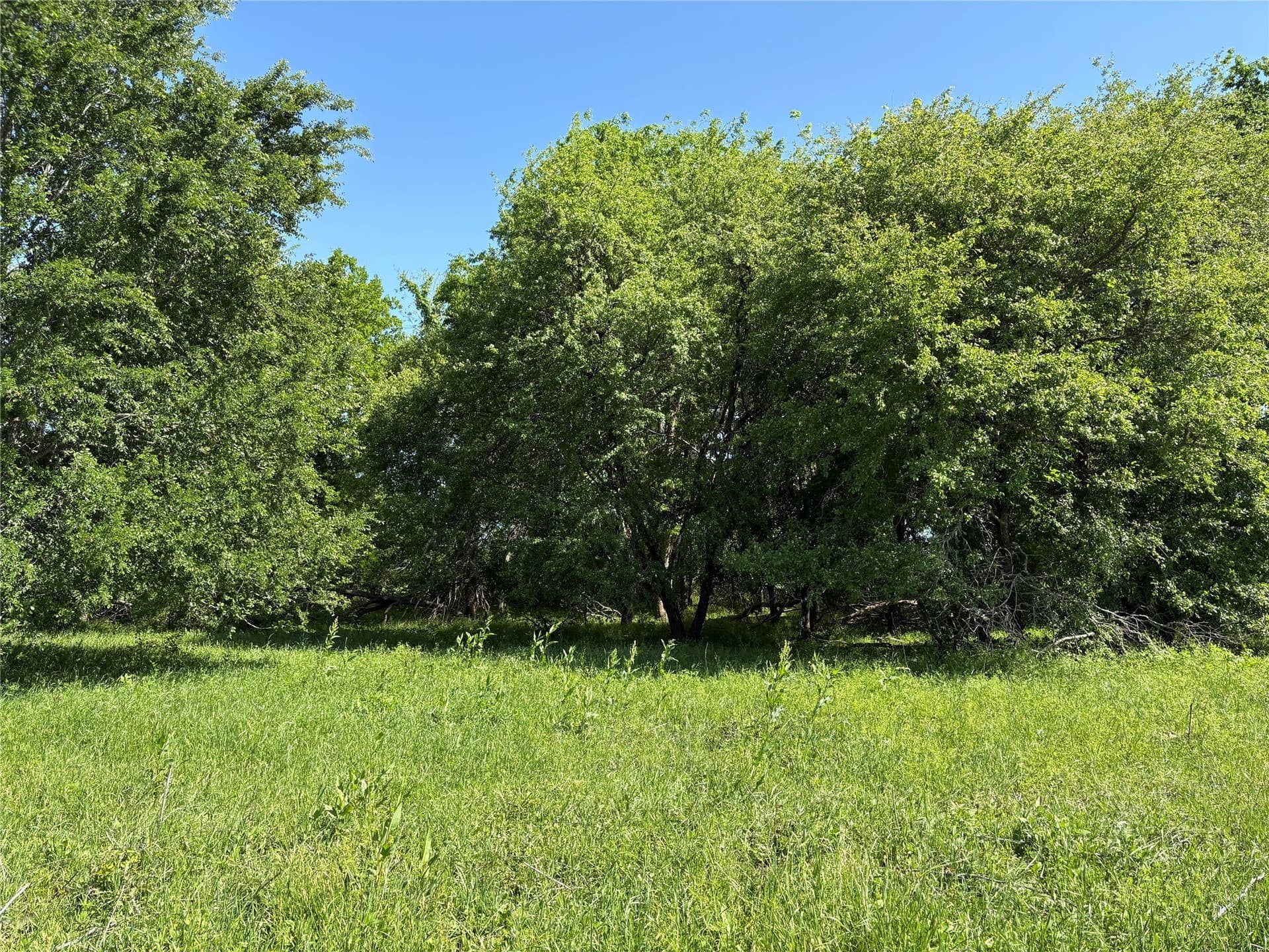 10.01 acres in Anderson County - photo 36