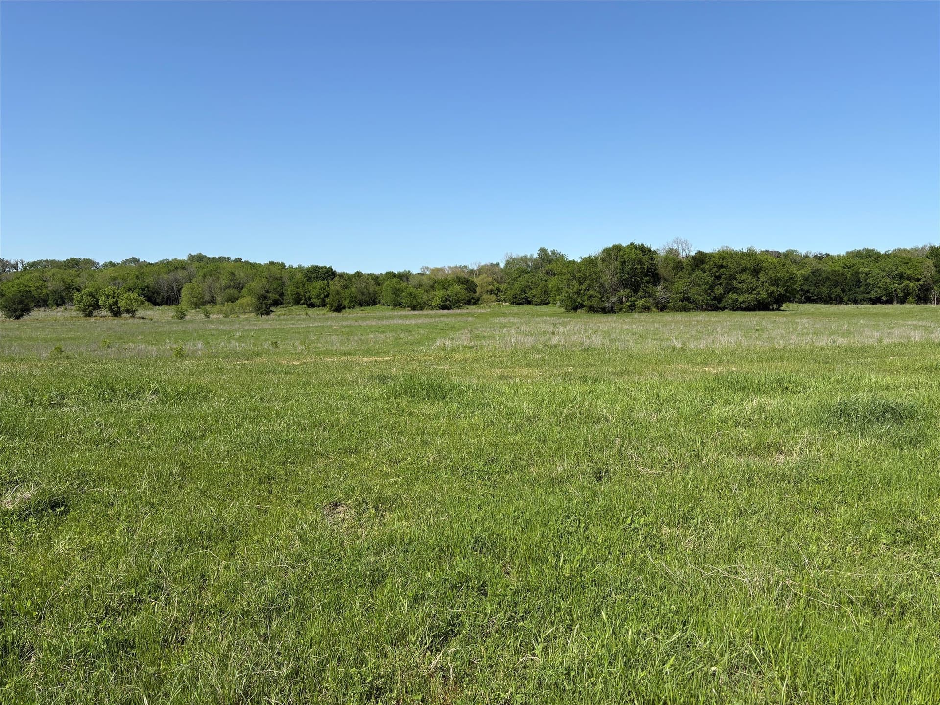 10.01 acres in Anderson County - photo 28