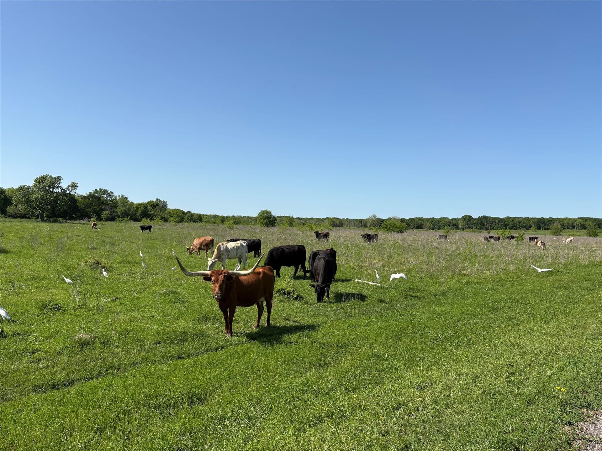 10.01 acres in Anderson County - photo 39