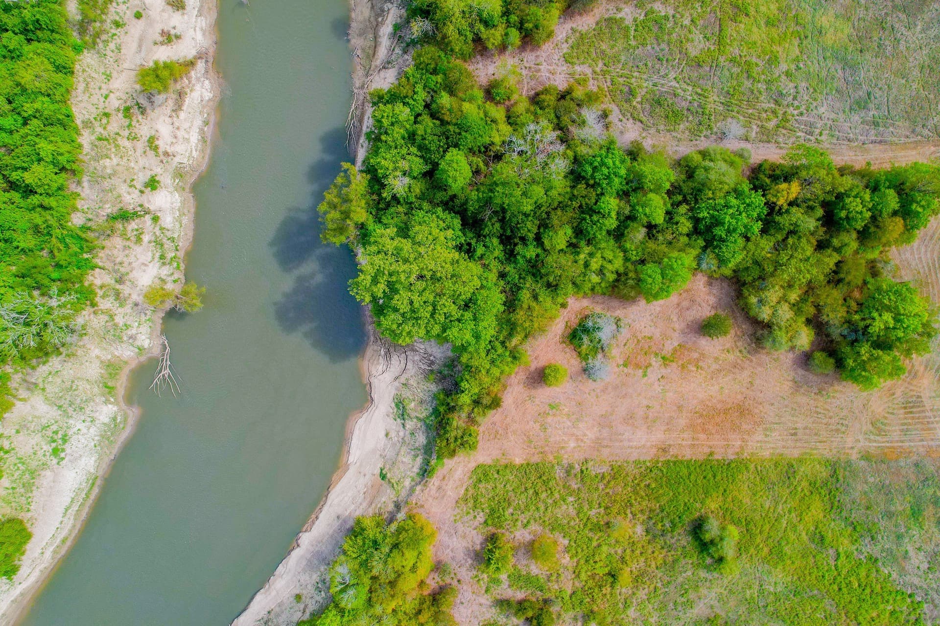 10.01 acres in Anderson County - photo 6