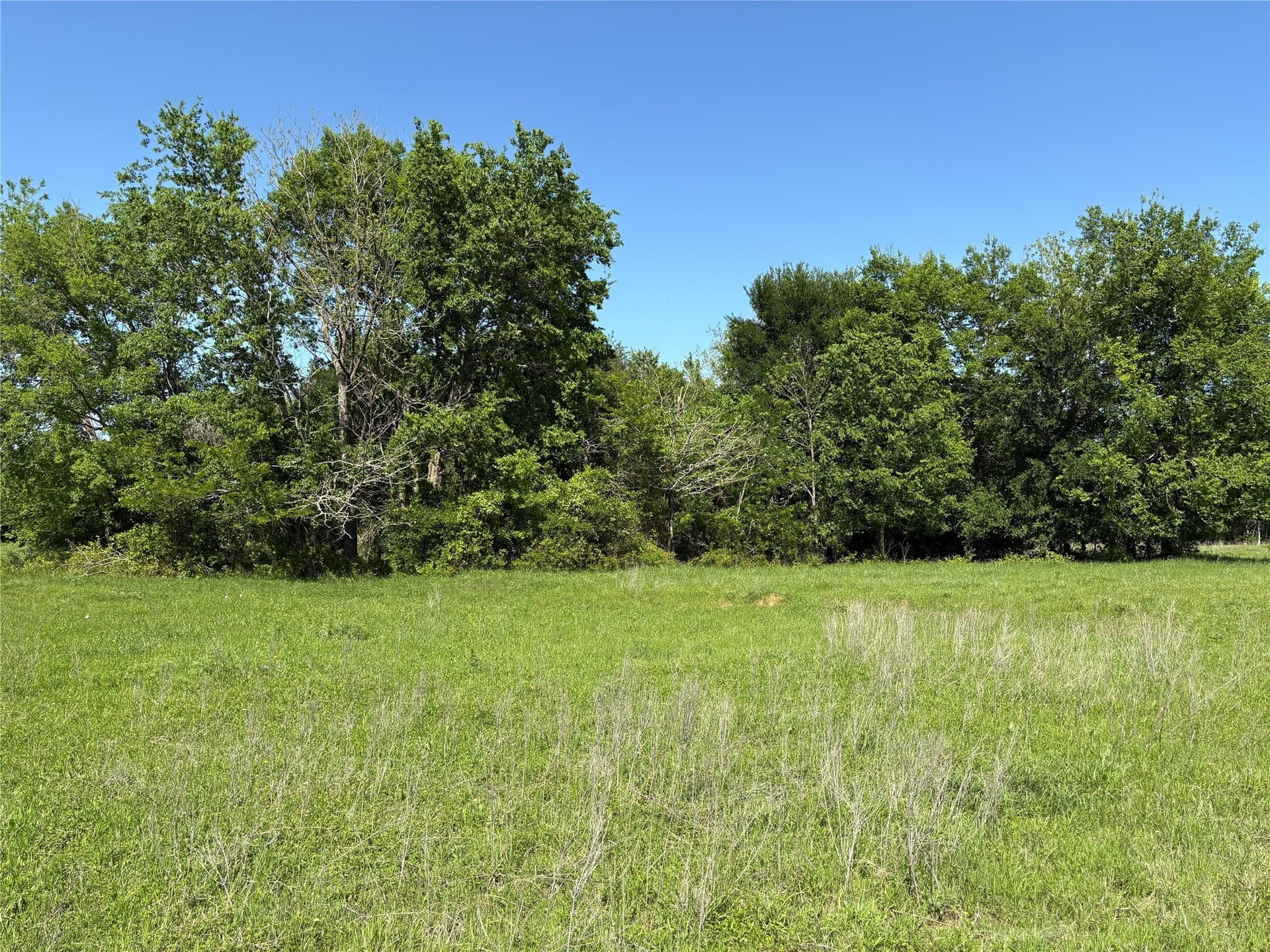 10.01 acres in Anderson County - photo 7