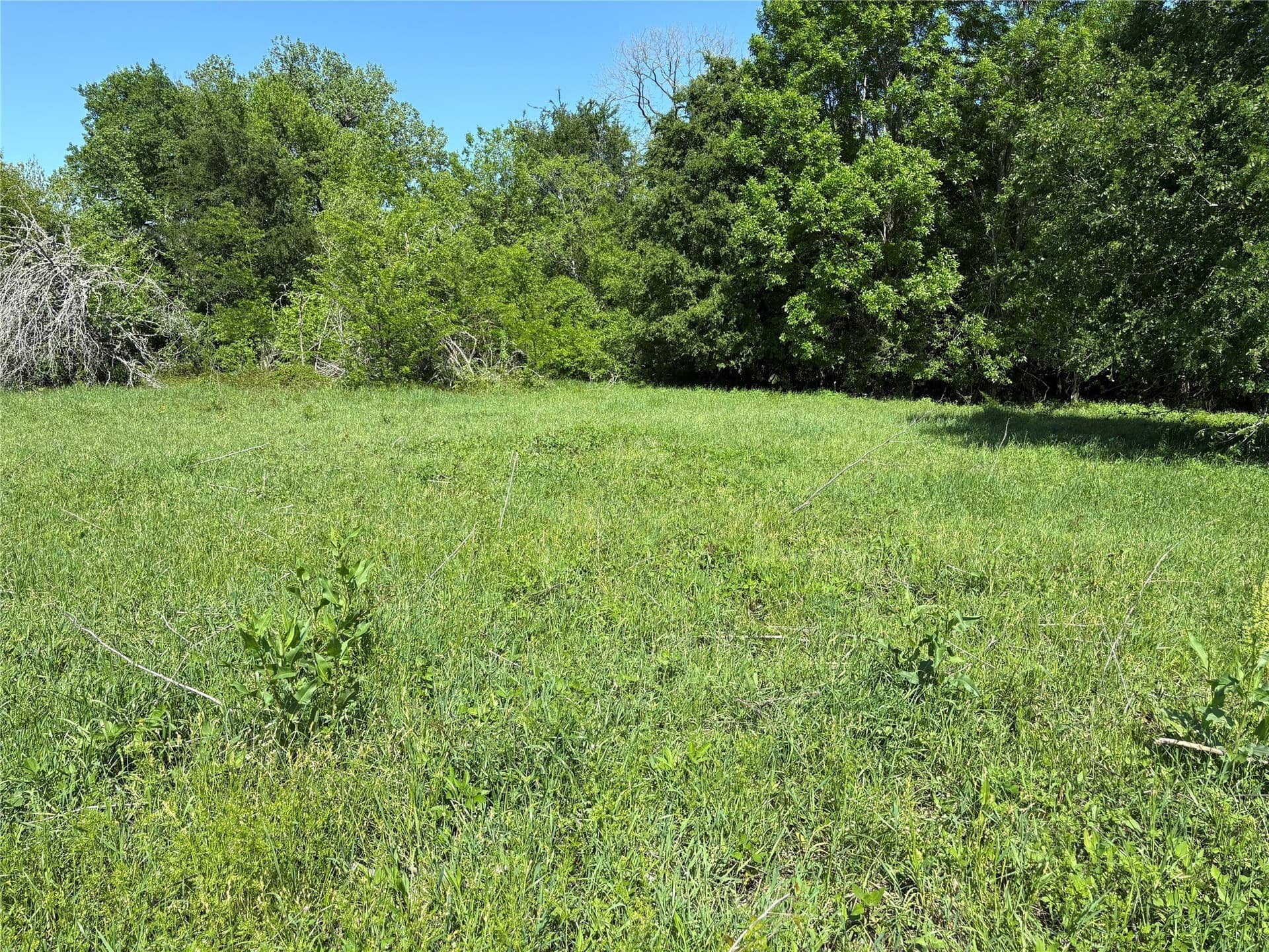 10.01 acres in Anderson County - photo 10