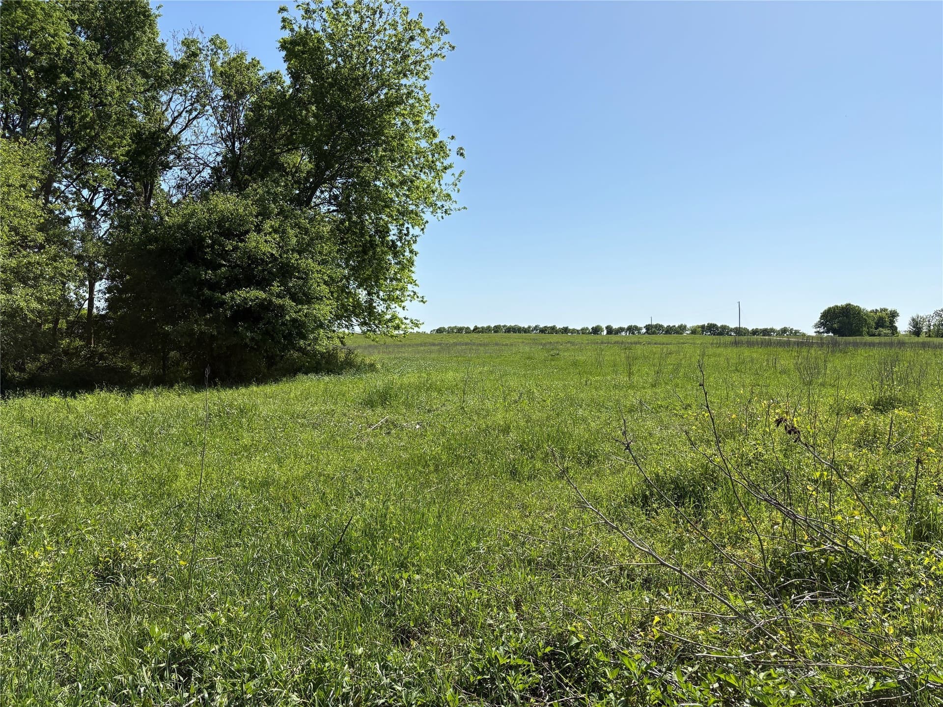 10.01 acres in Anderson County - photo 13