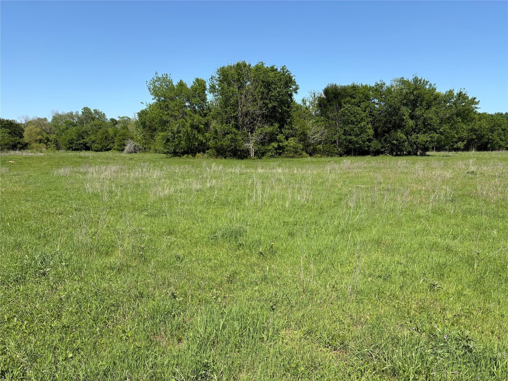 10.01 acres in Anderson County - photo 20