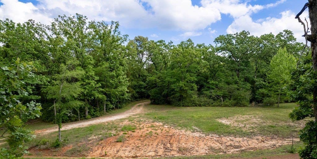 0.75 acres in ANDERSON County - photo 9