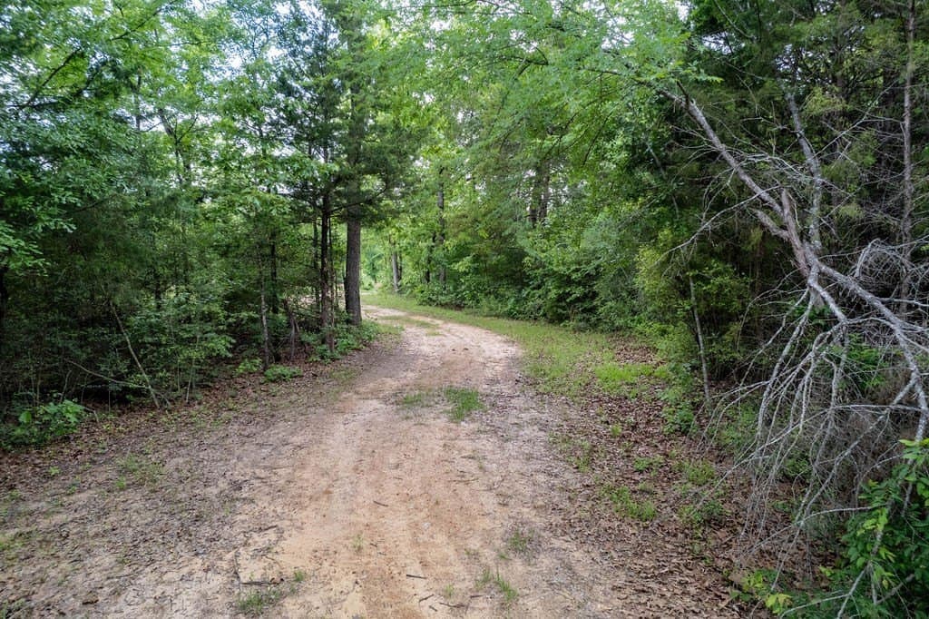 0.75 acres in ANDERSON County featured view