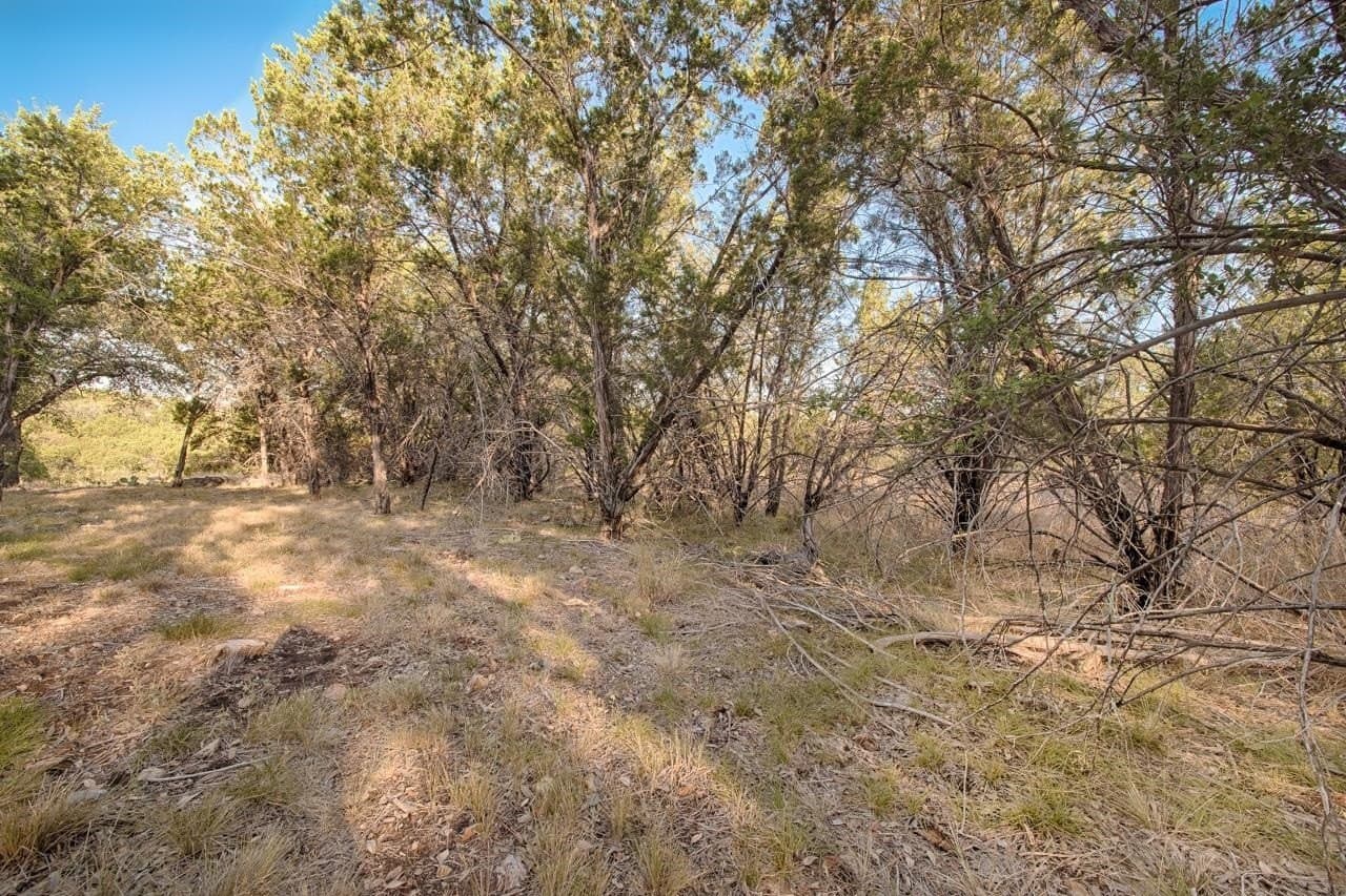 0.23 acres in Burnet County gallery image 4