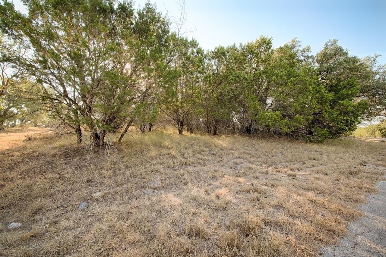 0.23 acres in Burnet County gallery image 2