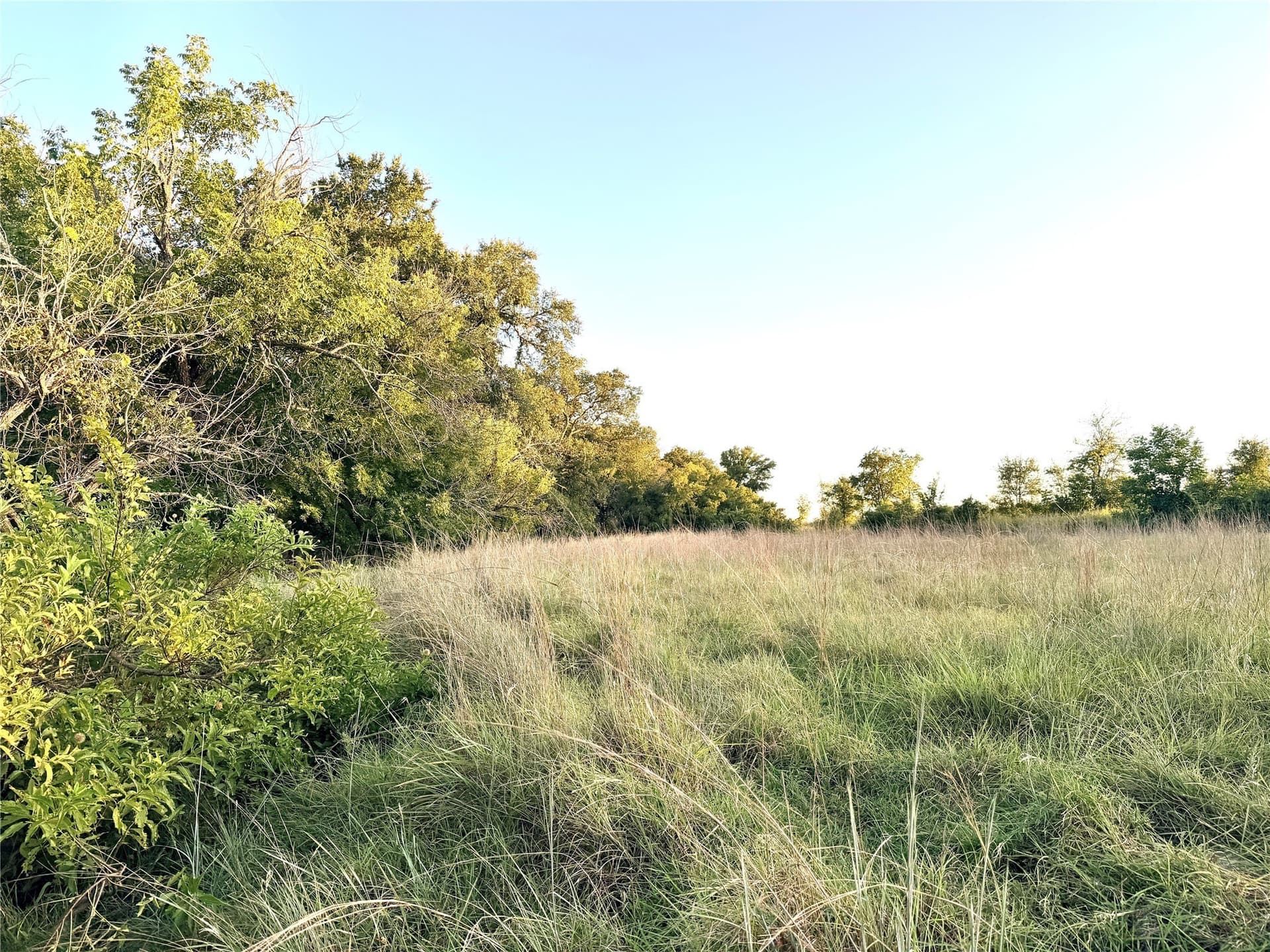 43.32 acres in Mills County - photo 18