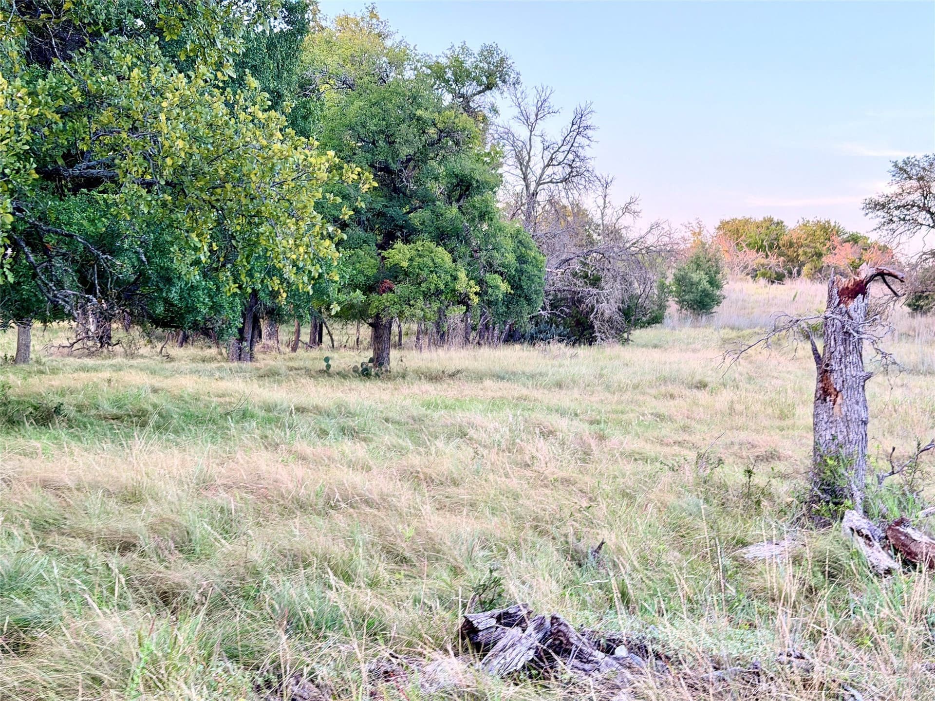 43.32 acres in Mills County - photo 39