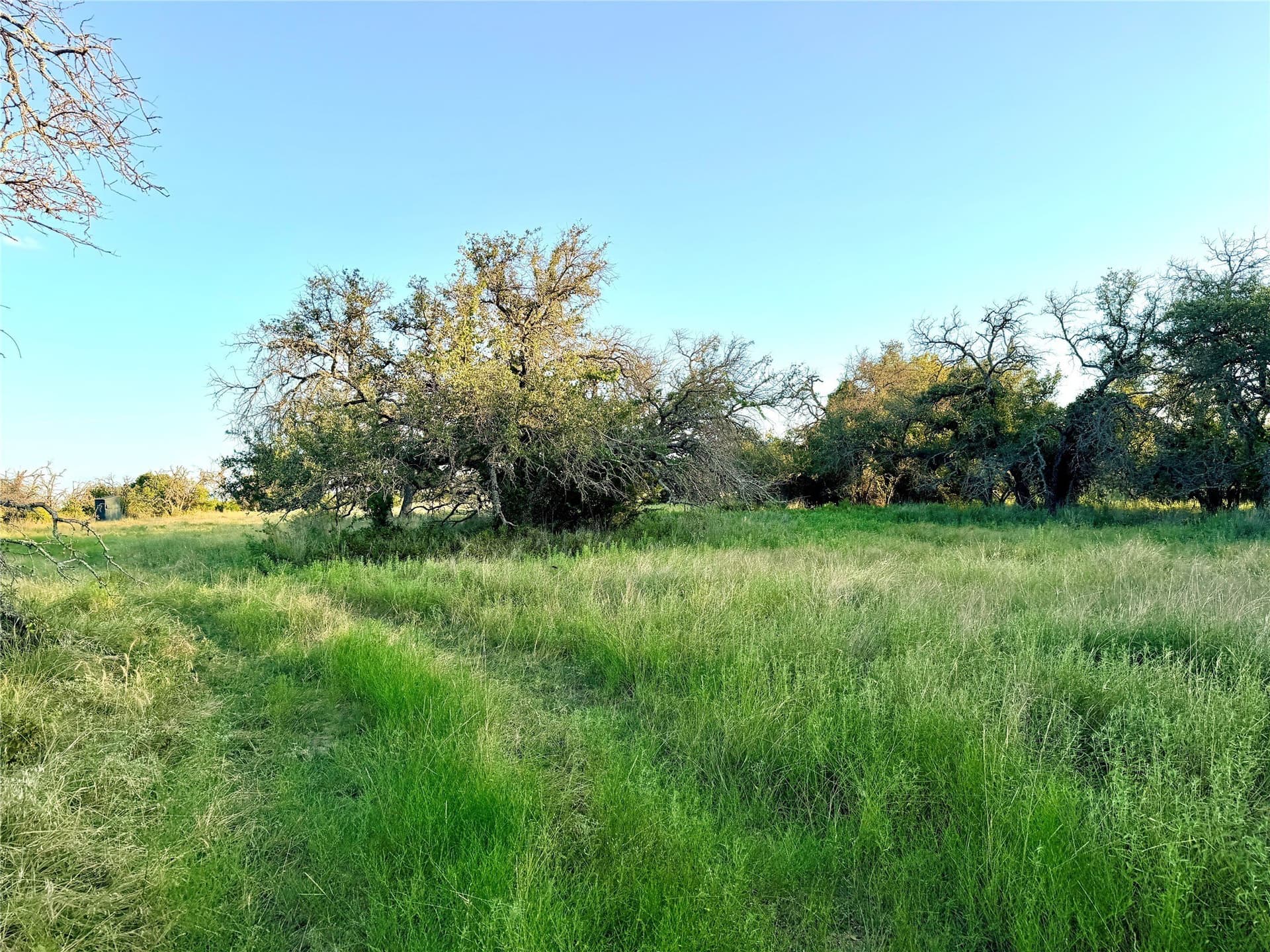43.32 acres in Mills County - photo 10