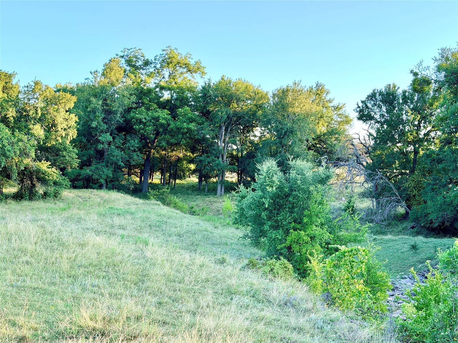 43.32 acres in Mills County
