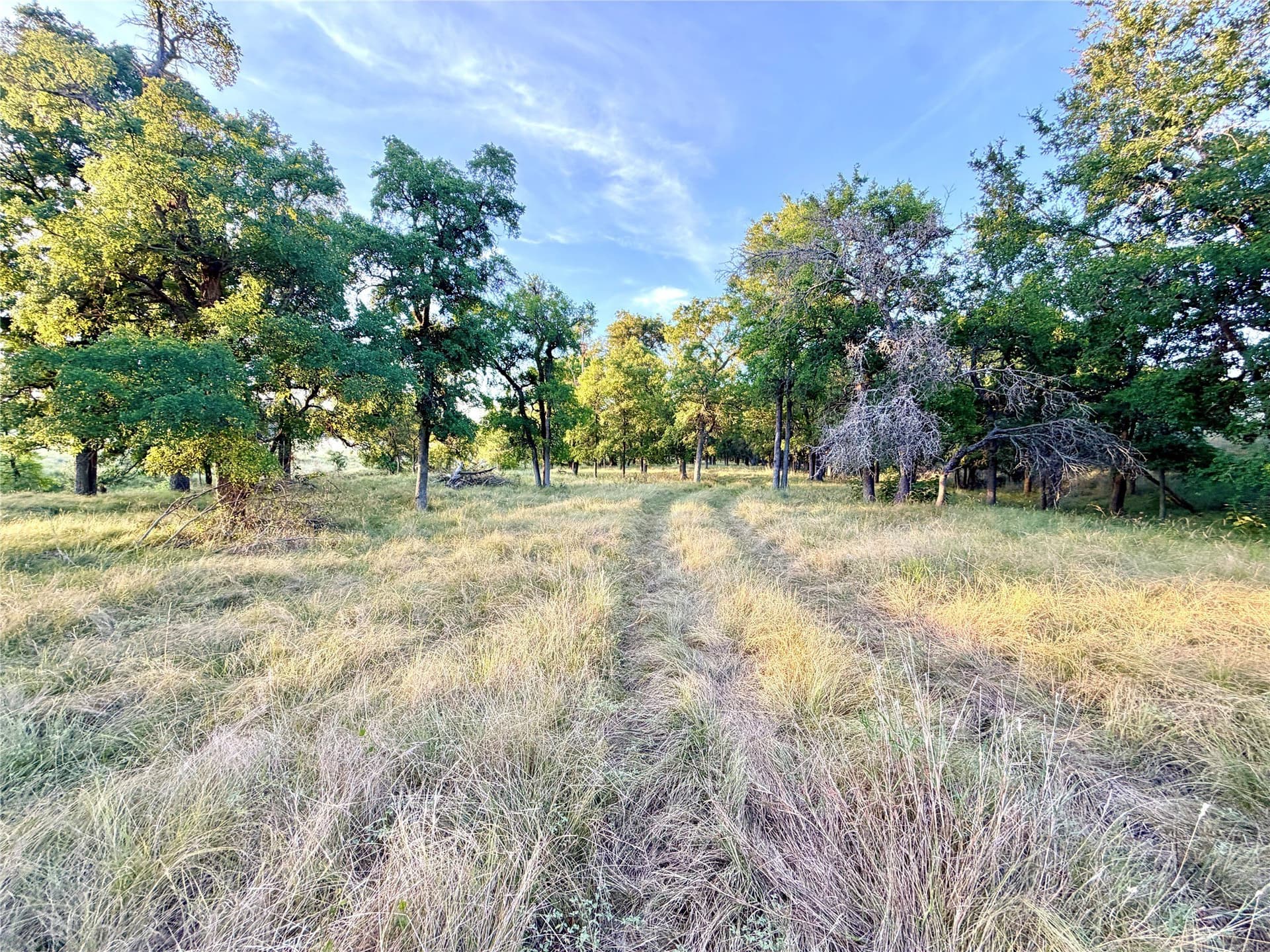 43.32 acres in Mills County - photo 21