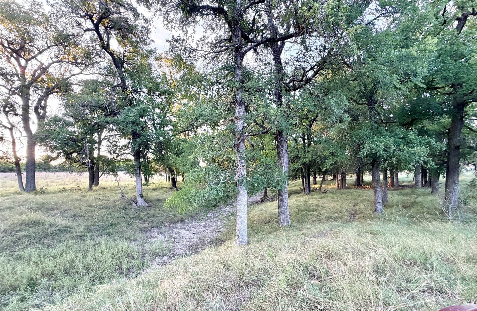 43.32 acres in Mills County - photo 26