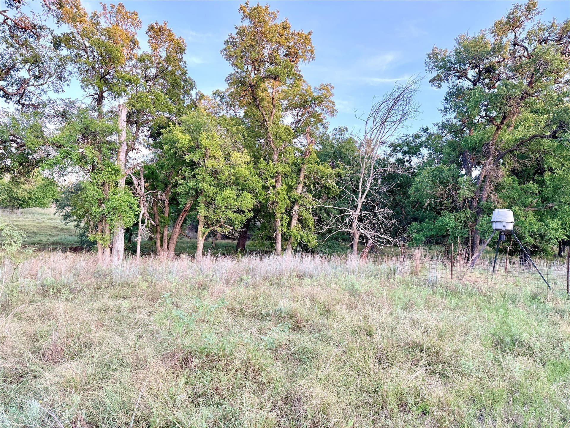 43.32 acres in Mills County - photo 37