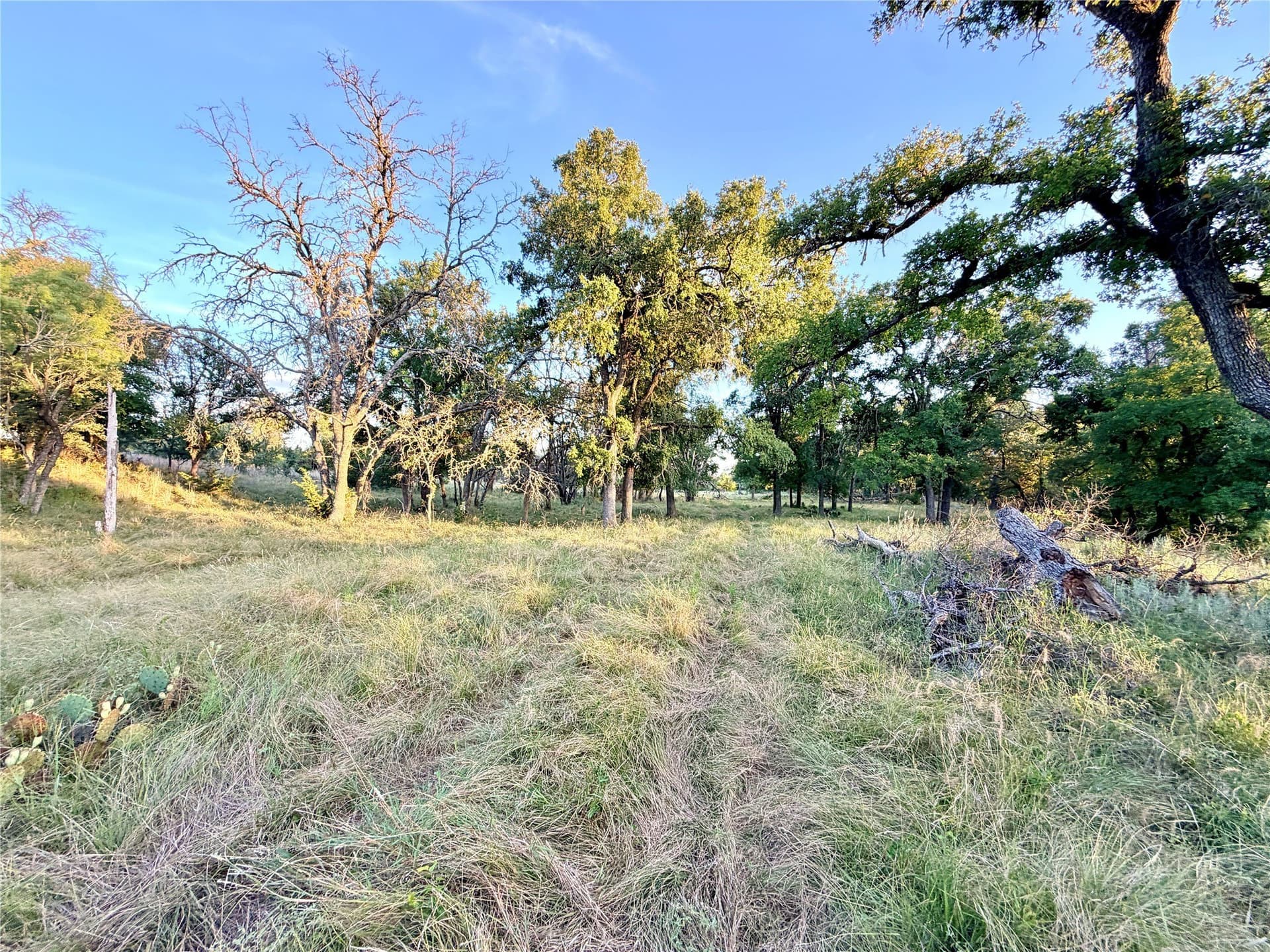 43.32 acres in Mills County - photo 20