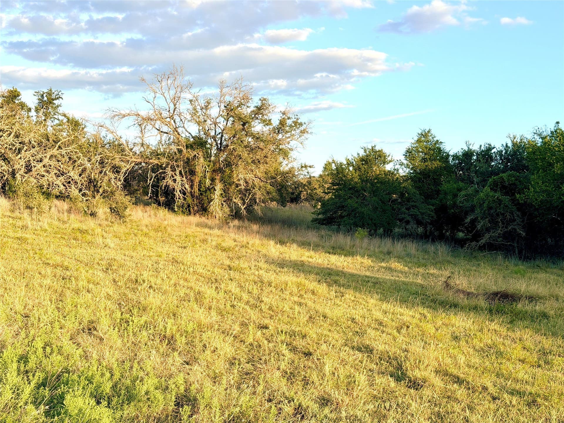 43.32 acres in Mills County - photo 7