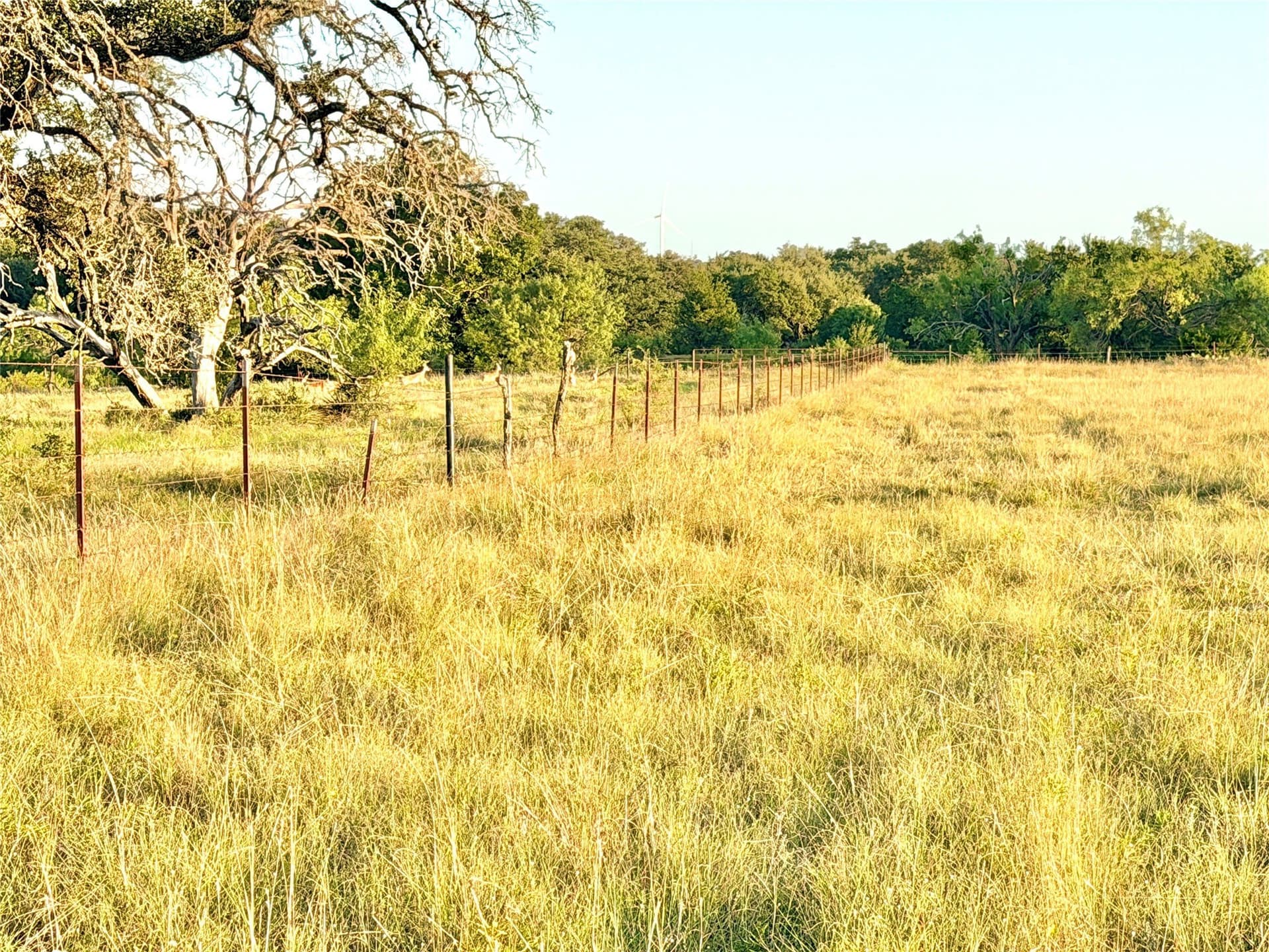 43.32 acres in Mills County - photo 13