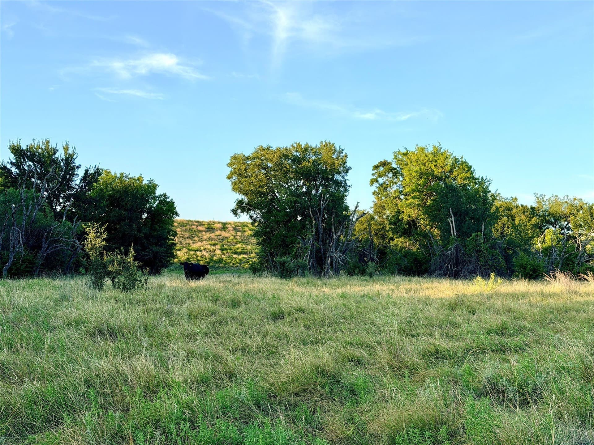 43.32 acres in Mills County gallery image 3