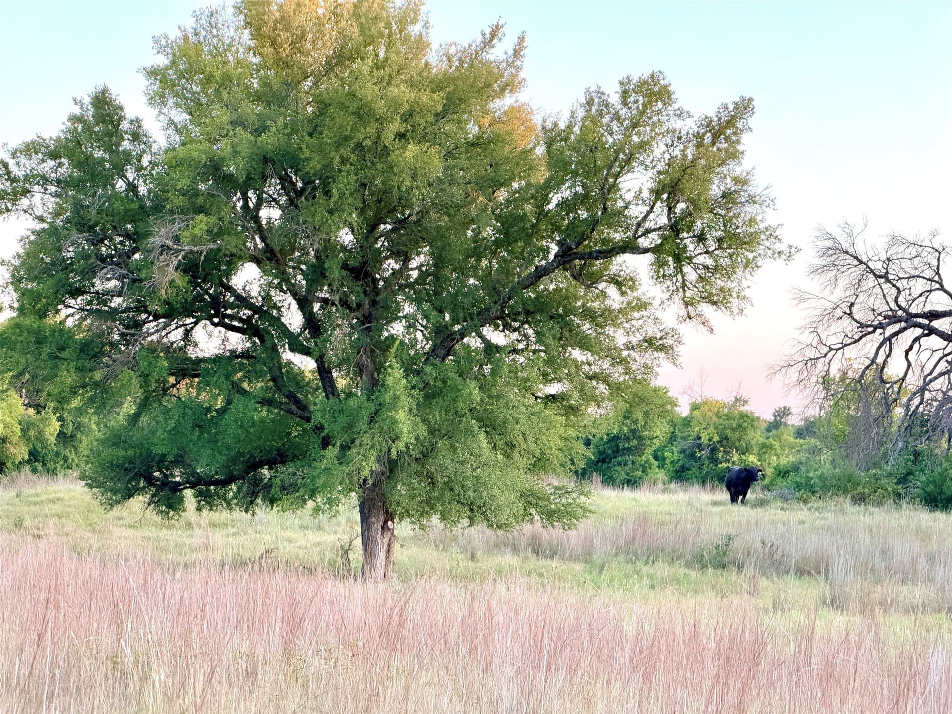 43.32 acres in Mills County - photo 36
