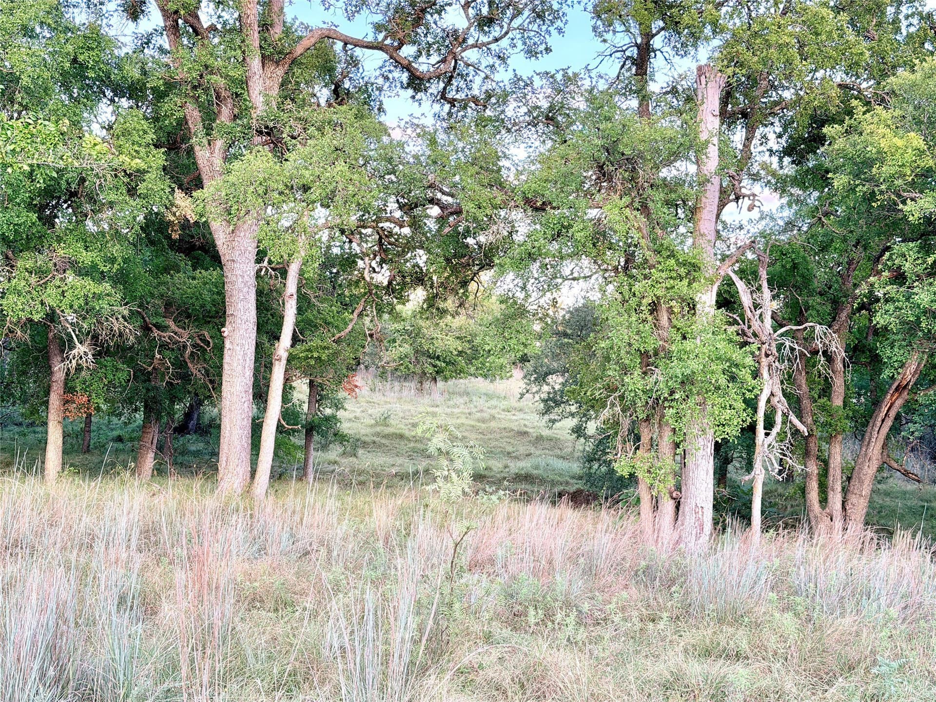 43.32 acres in Mills County - photo 38