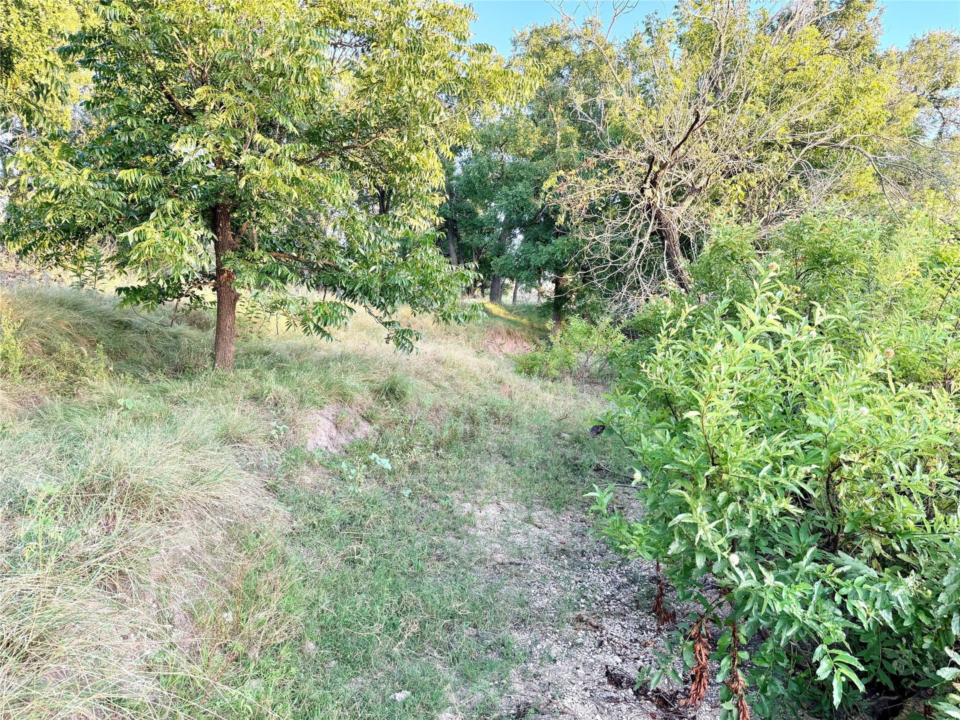 43.32 acres in Mills County - photo 17