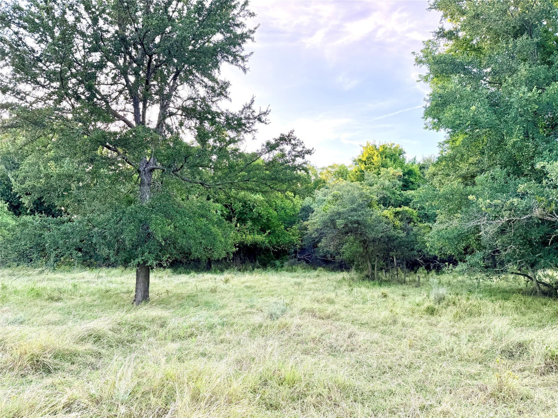43.32 acres in Mills County gallery image 4