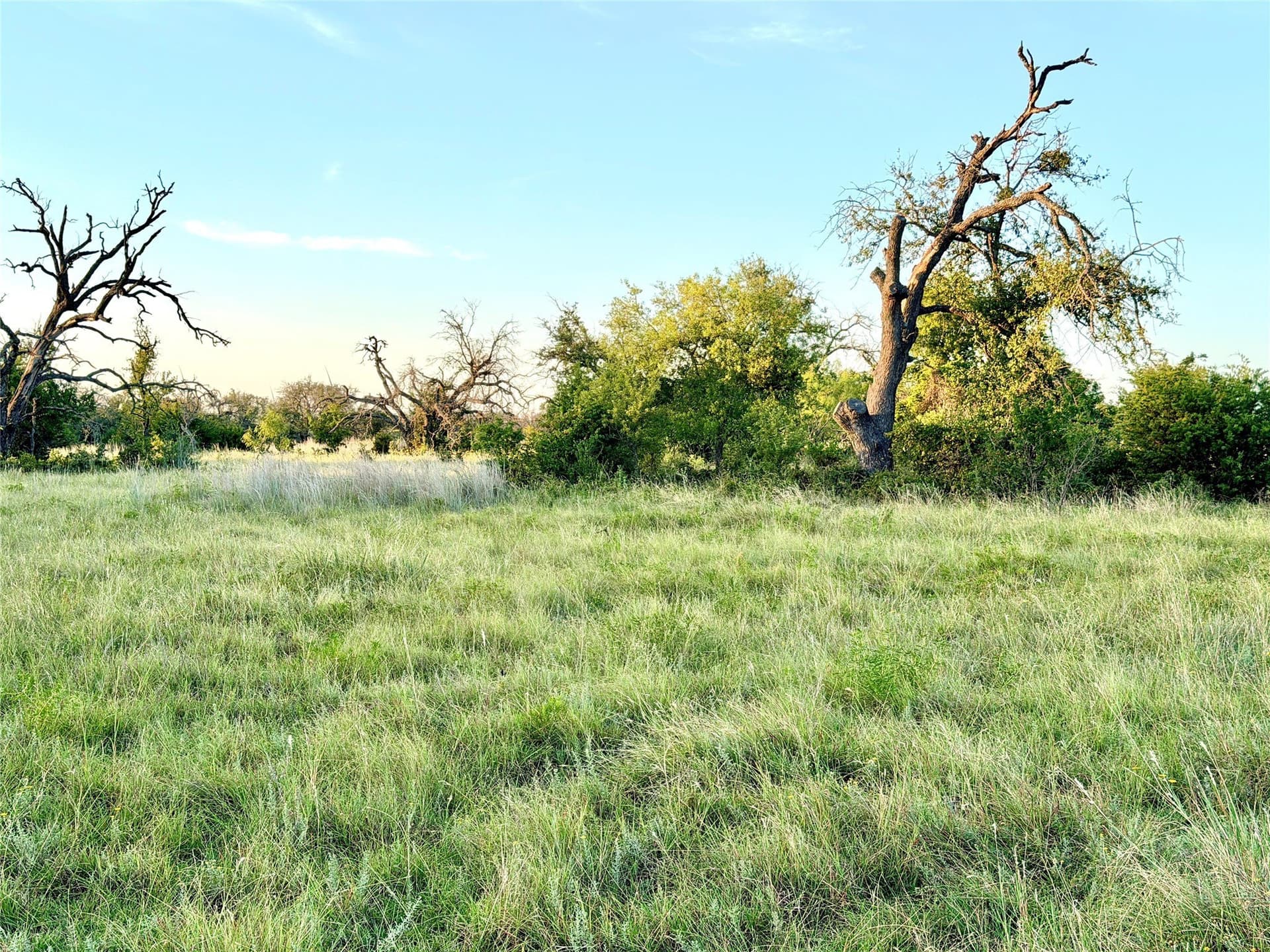 43.32 acres in Mills County - photo 15