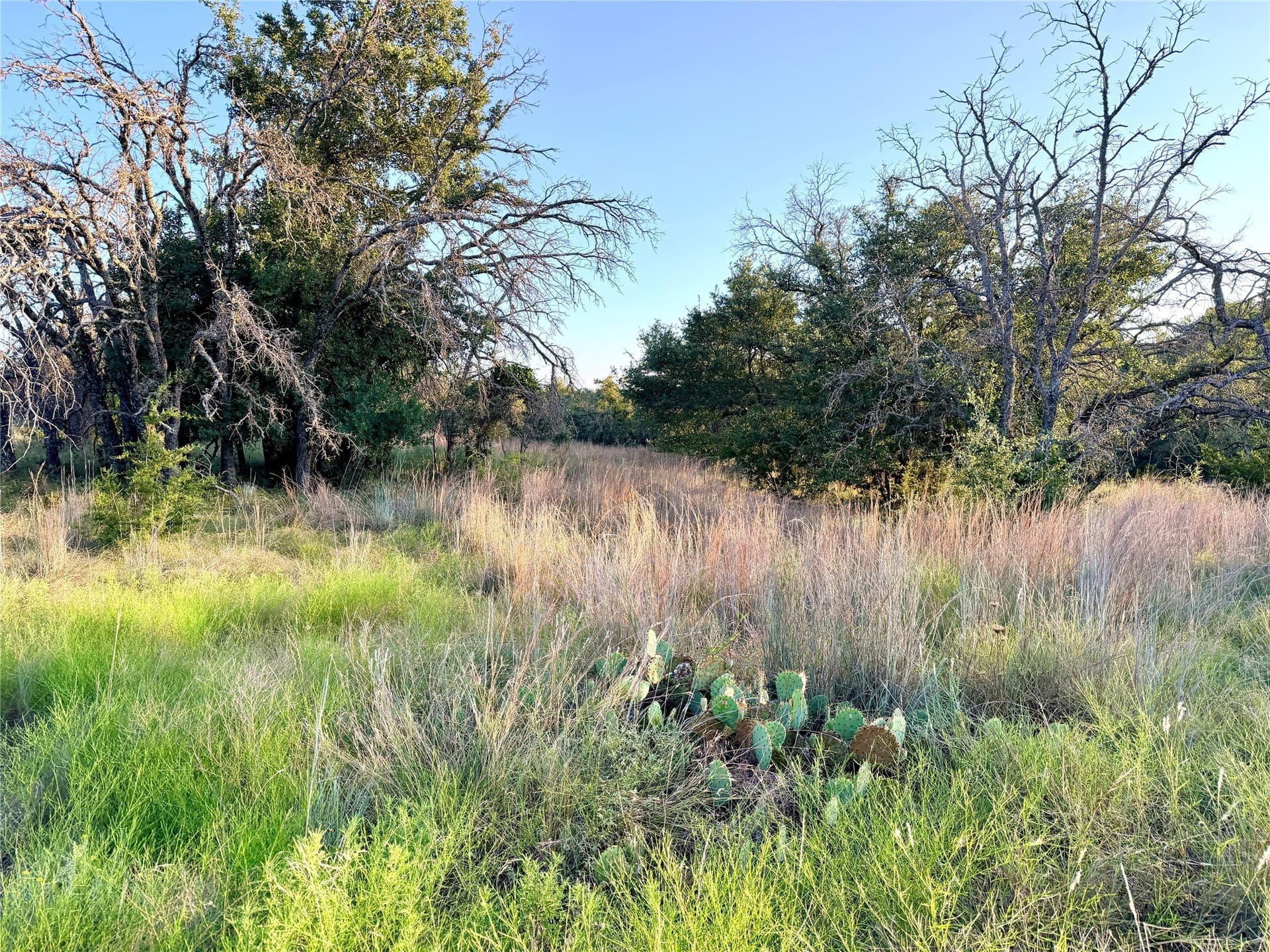 43.32 acres in Mills County - photo 8