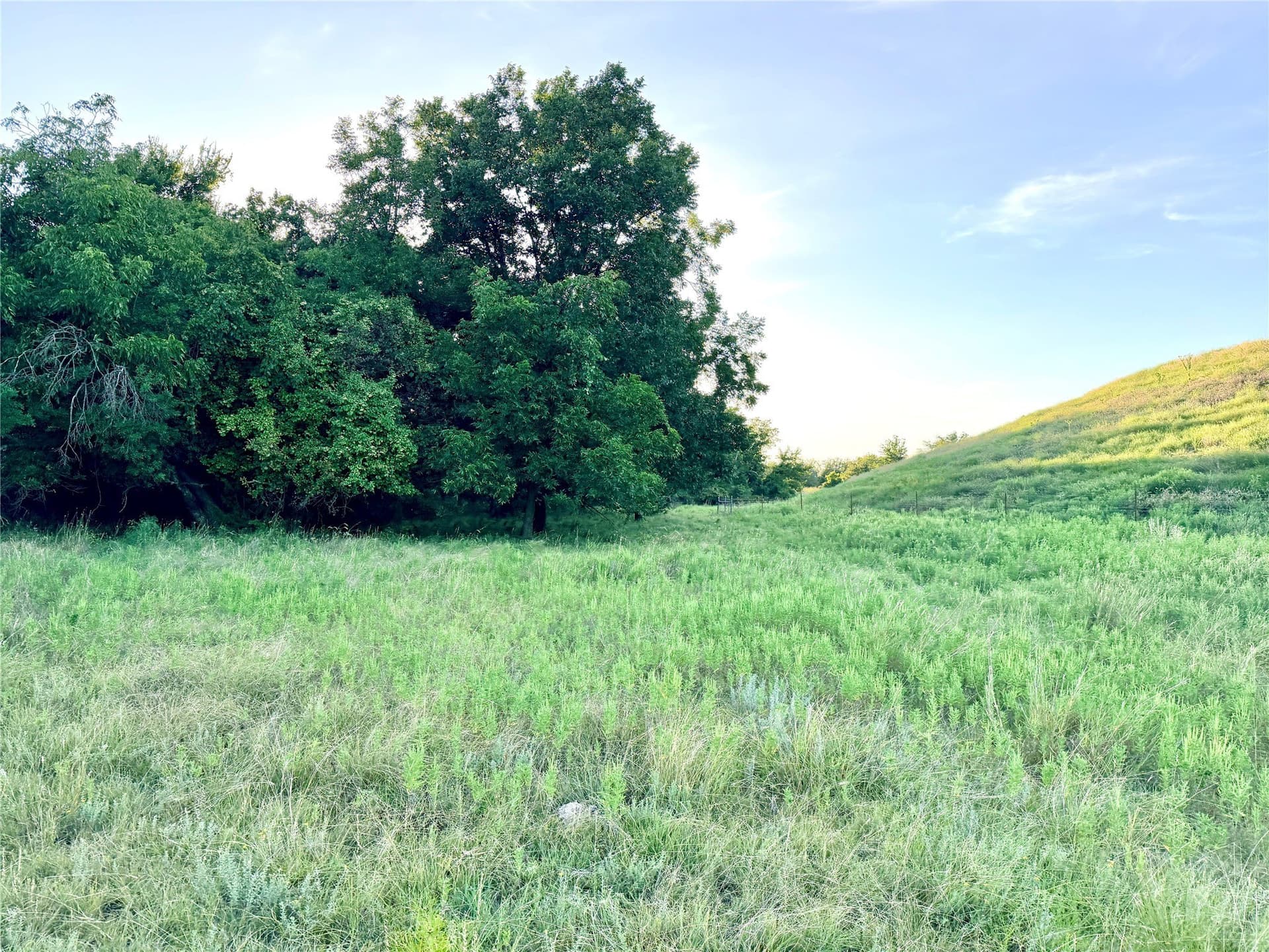 43.32 acres in Mills County featured view