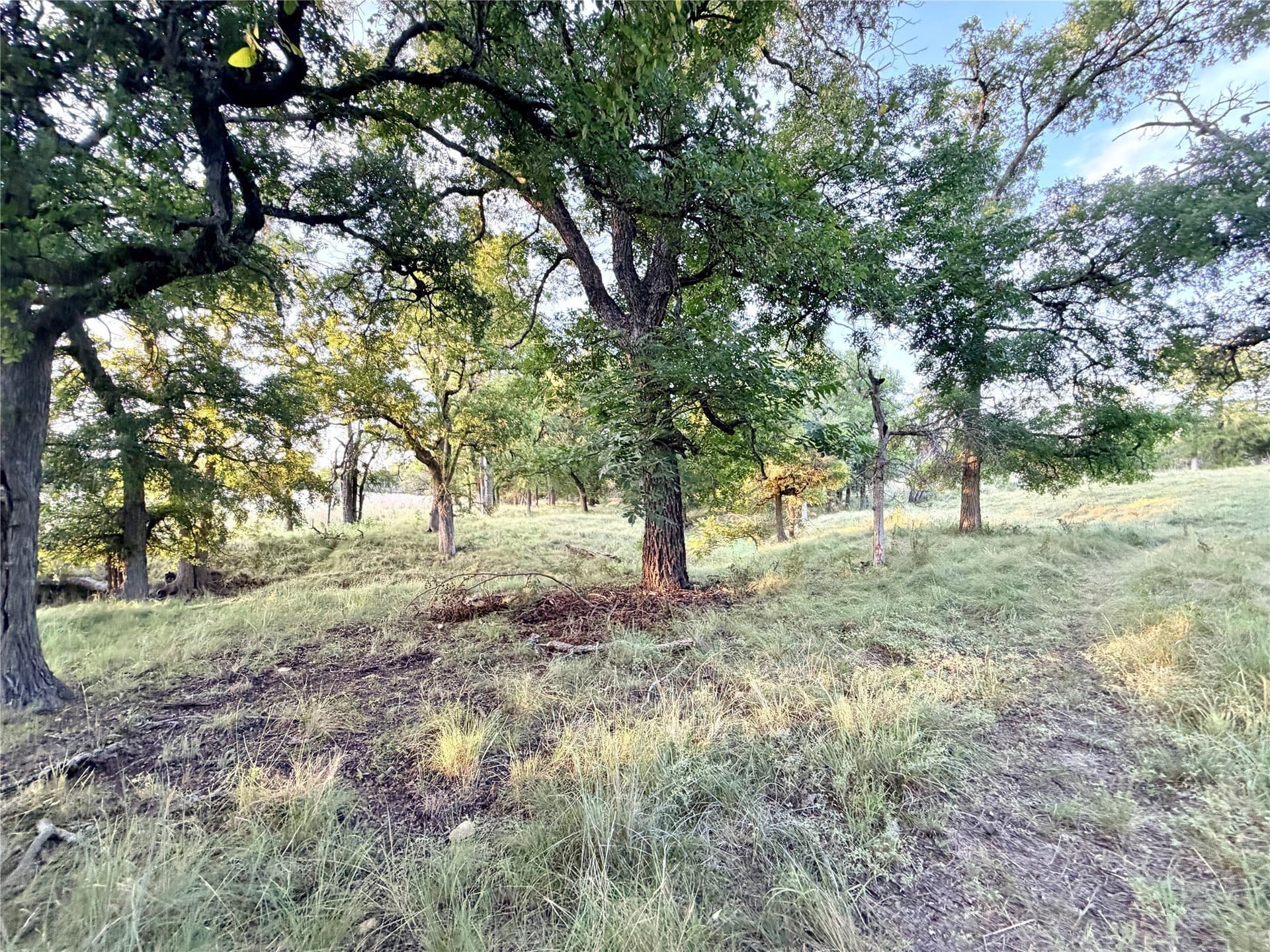 43.32 acres in Mills County - photo 23