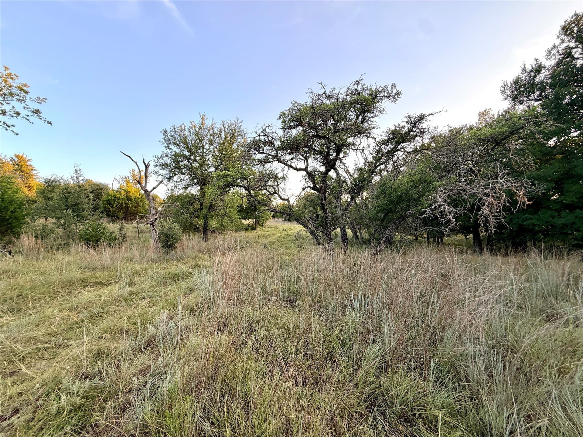 43.32 acres in Mills County - photo 27