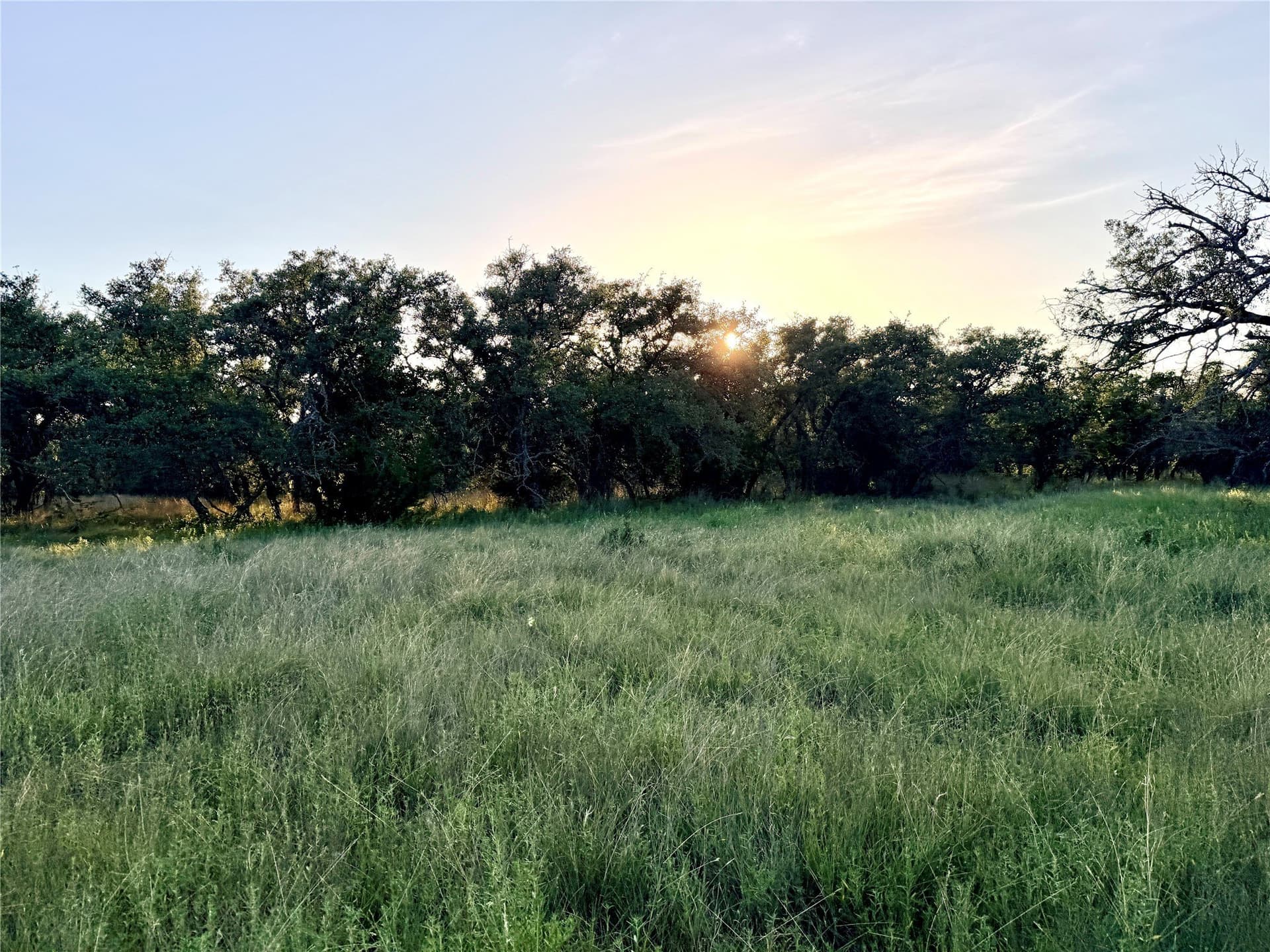 43.32 acres in Mills County - photo 9
