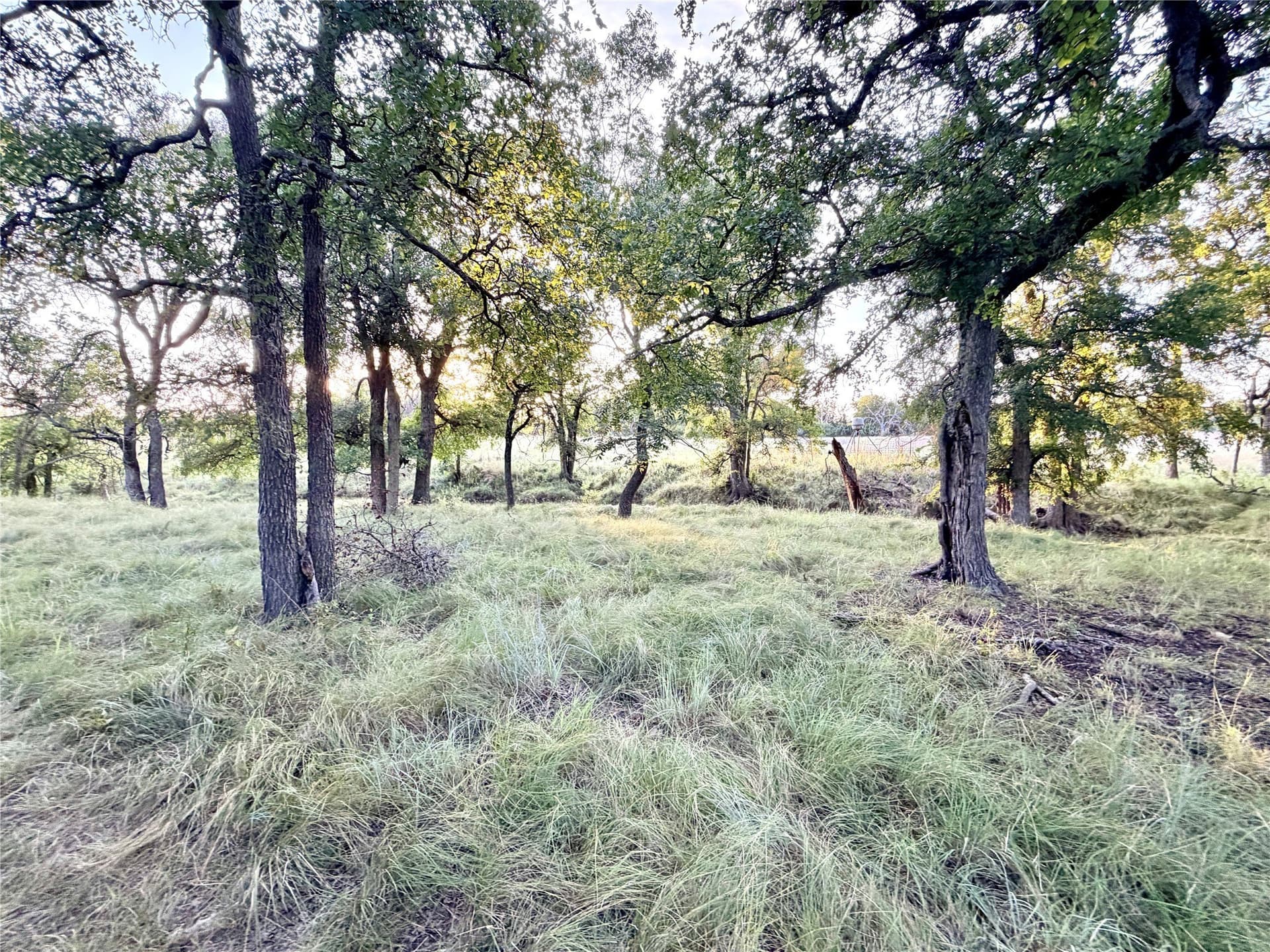 43.32 acres in Mills County - photo 22