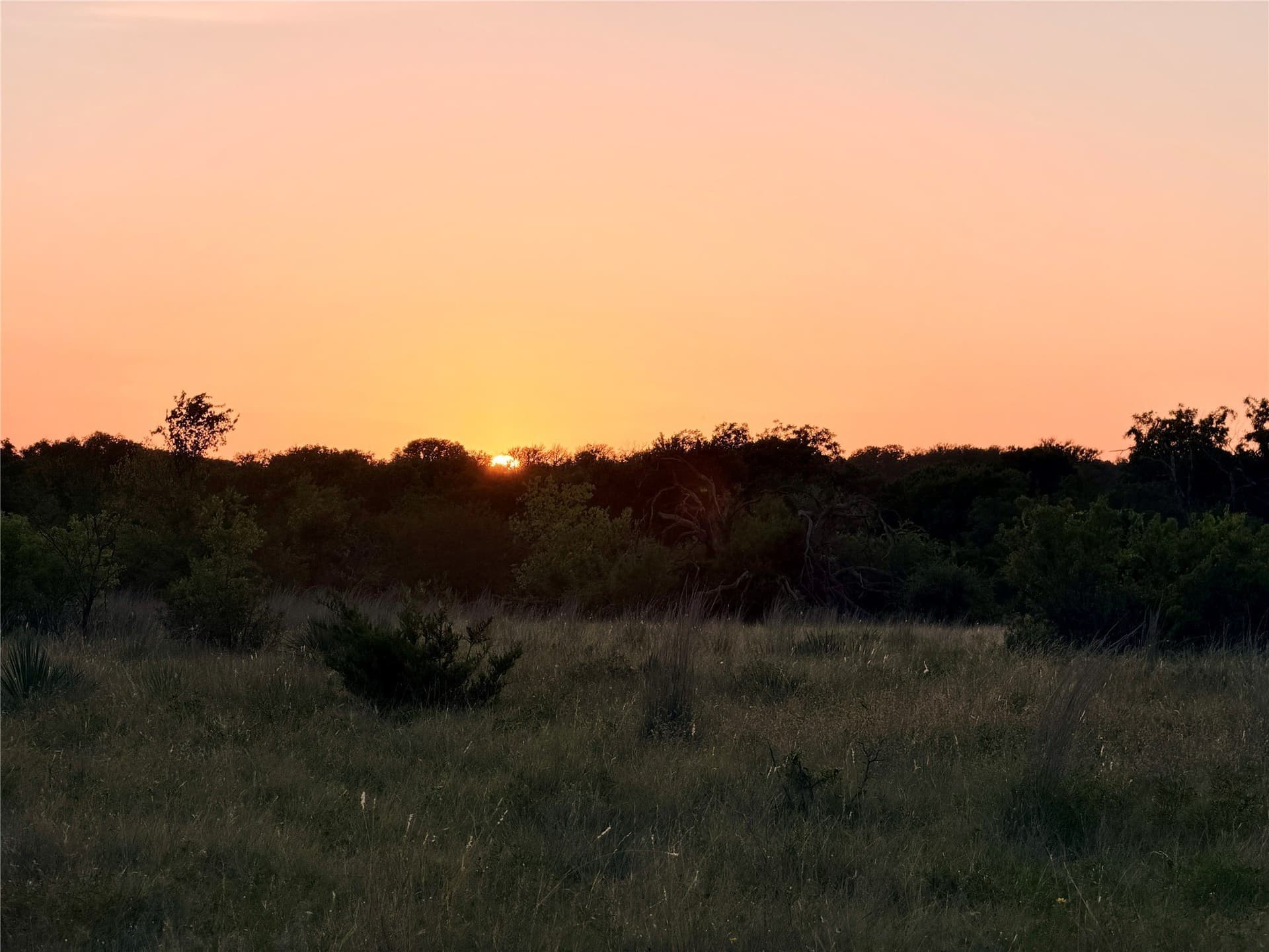 43.32 acres in Mills County - photo 40