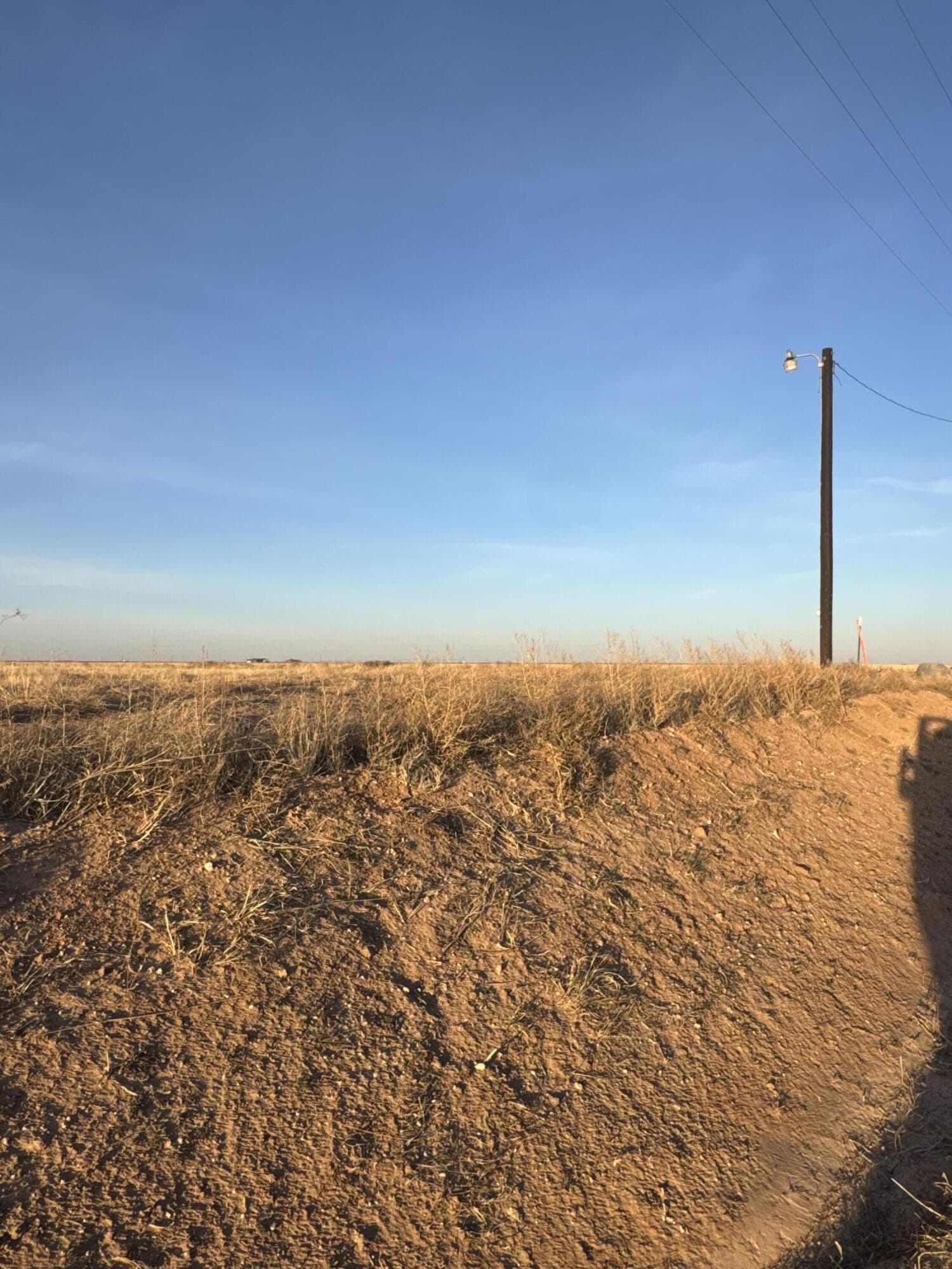 10.01 acres in Lynn County gallery image 2