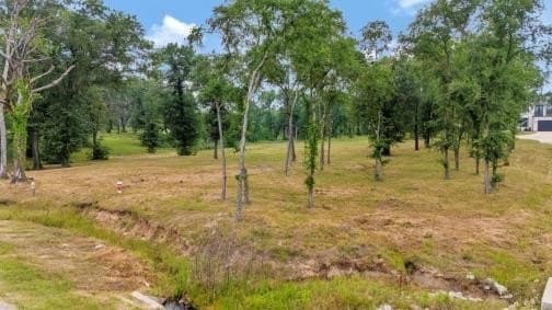 0.54 acres in Kaufman County gallery image 2