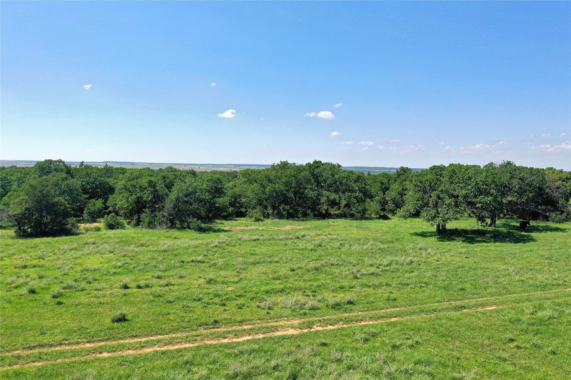 136 acres in Jack County - photo 13