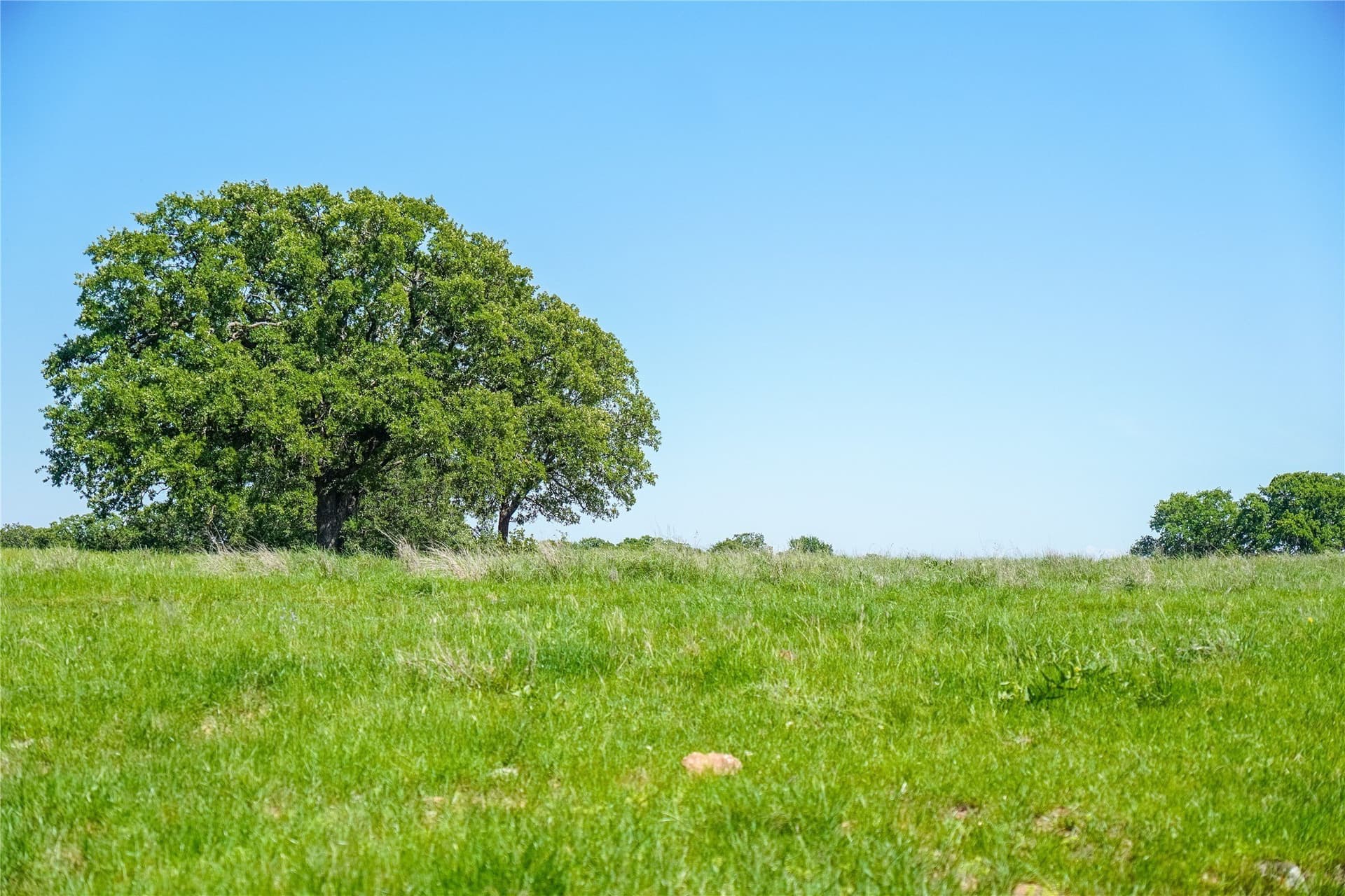 136 acres in Jack County - photo 29
